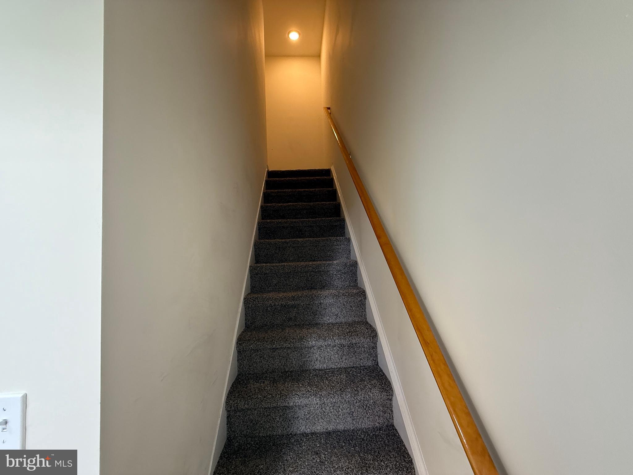 241 CAMBRIDGE STREET B