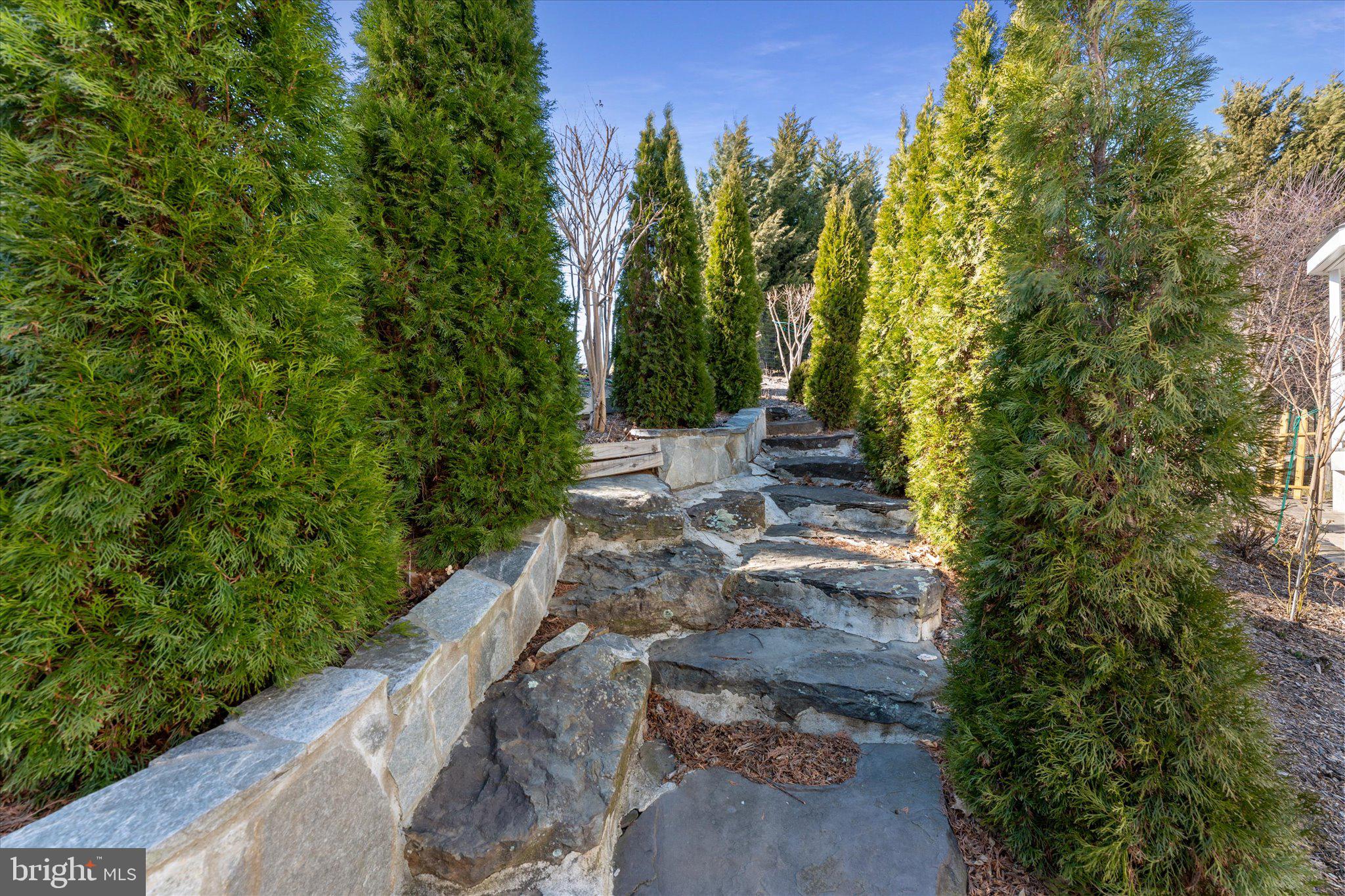 BEACON HILL - Residential