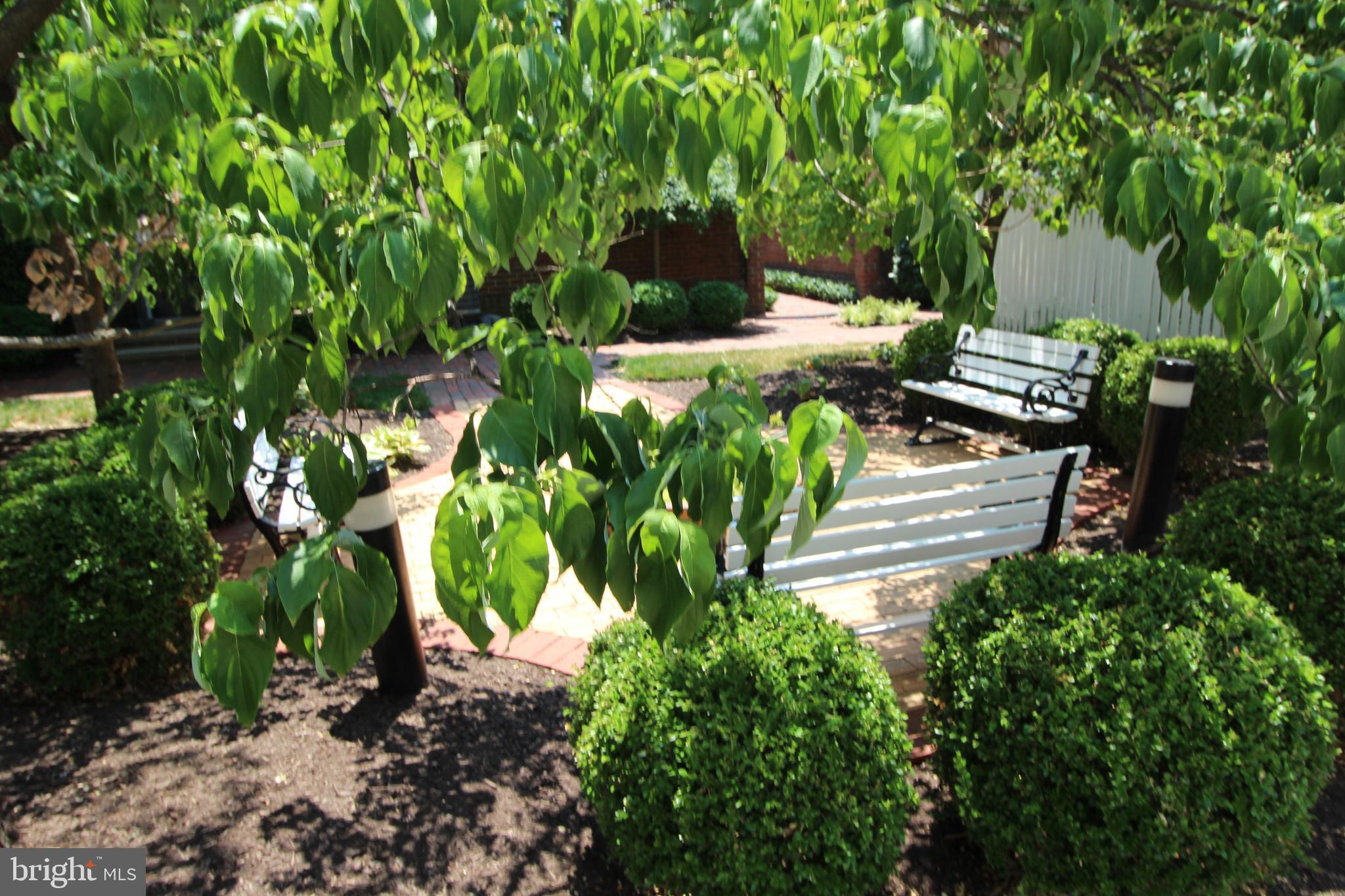 WATERGATE OF ALEXANDRIA - Residential Lease