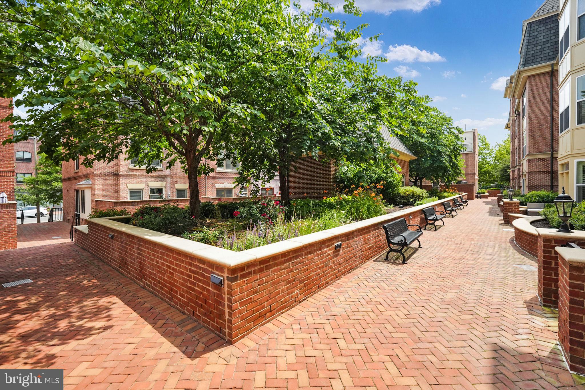 DUKE CONDOMINIUM - Residential