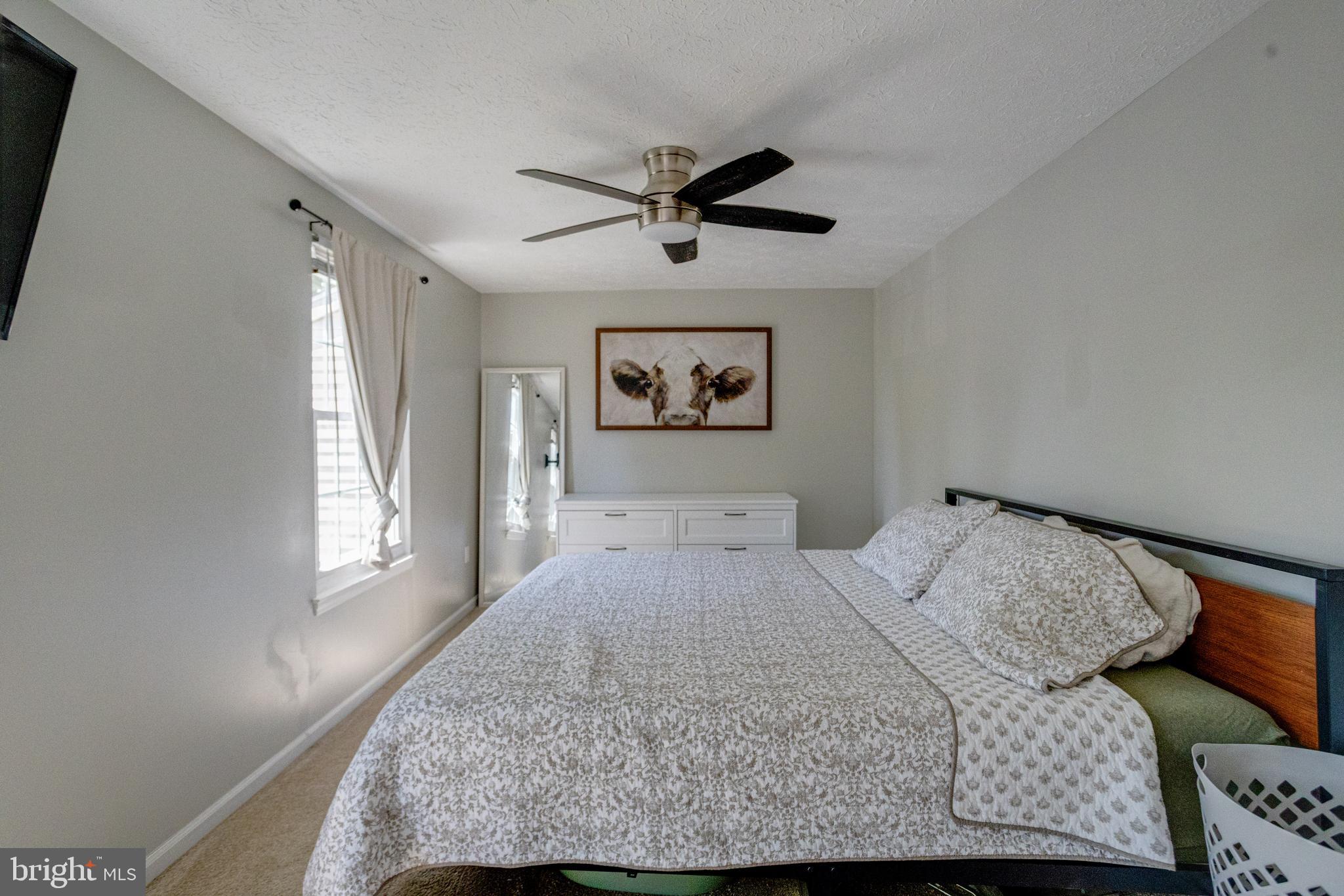 CONSTANT FRIENDSHIP - Residential