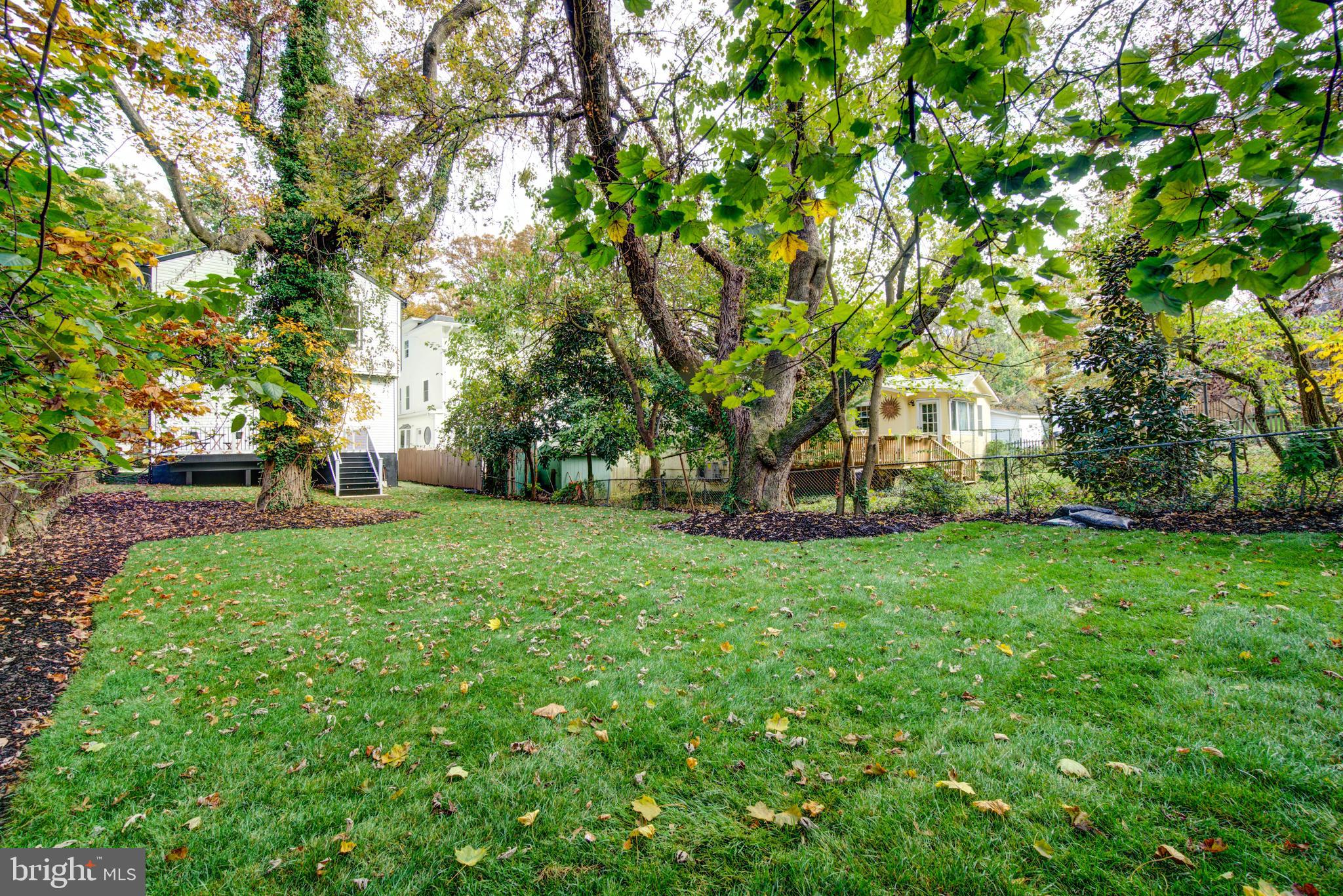 TAKOMA PARK - Residential