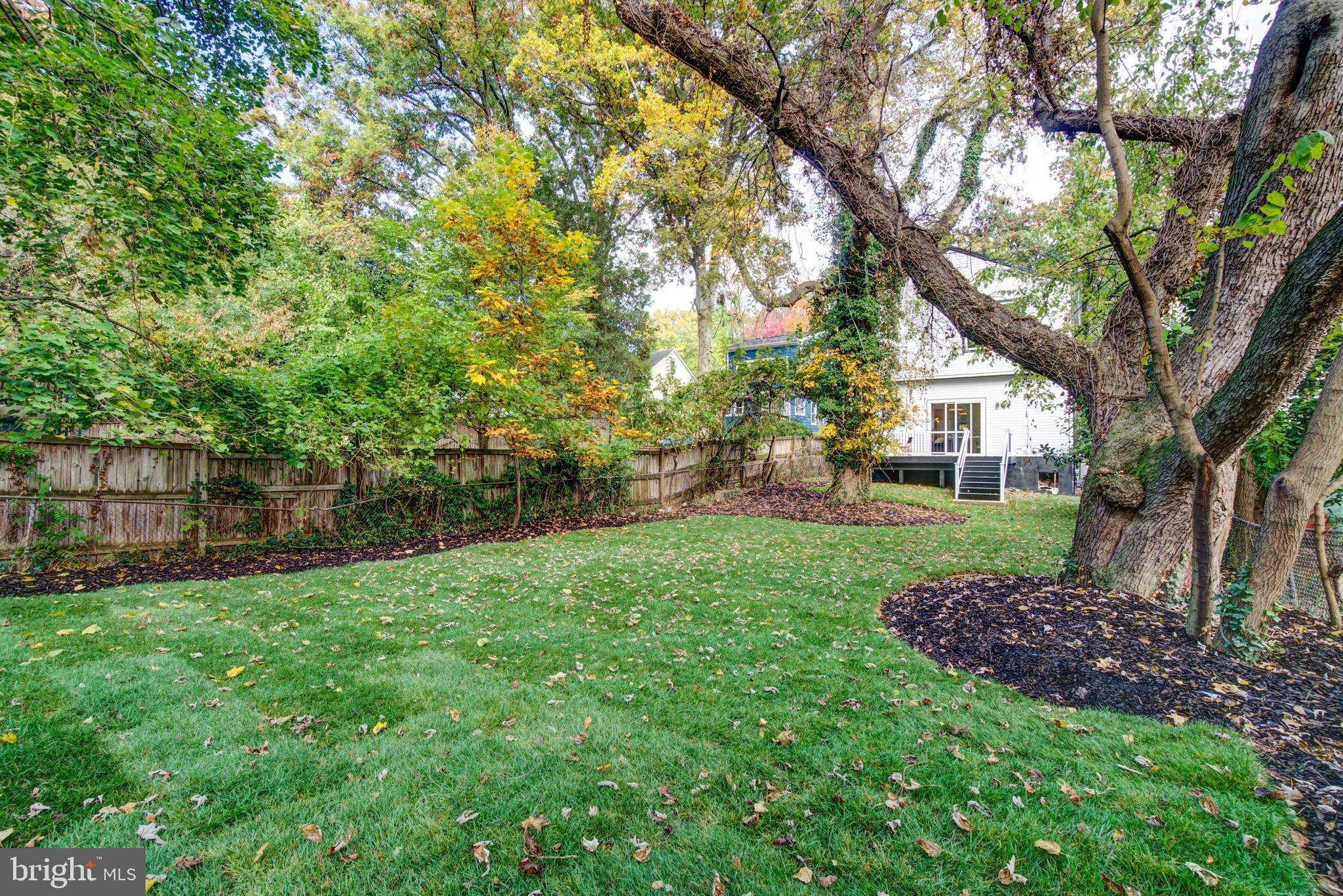 TAKOMA PARK - Residential