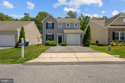 146 BOBBYS BRANCH ROAD 71 MILLSBORO DE 19966