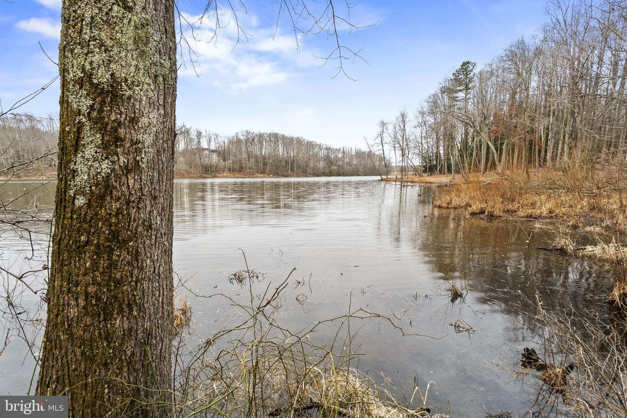 LAKE JAMESON - Residential