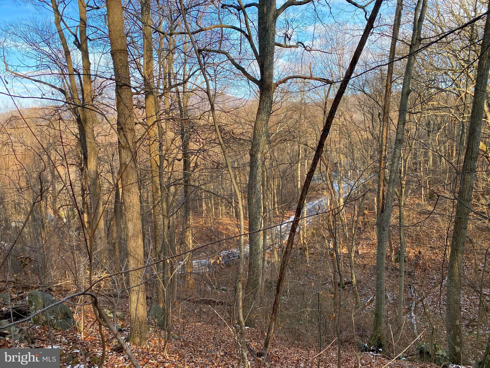 LAKE FRONT ROYAL - Land