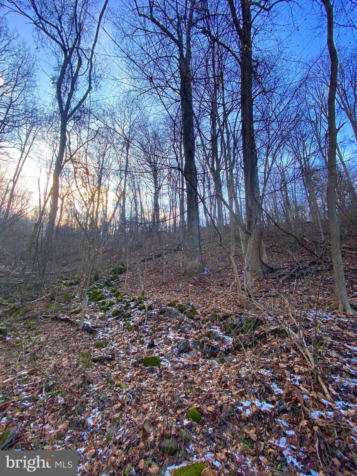 LAKE FRONT ROYAL - Land