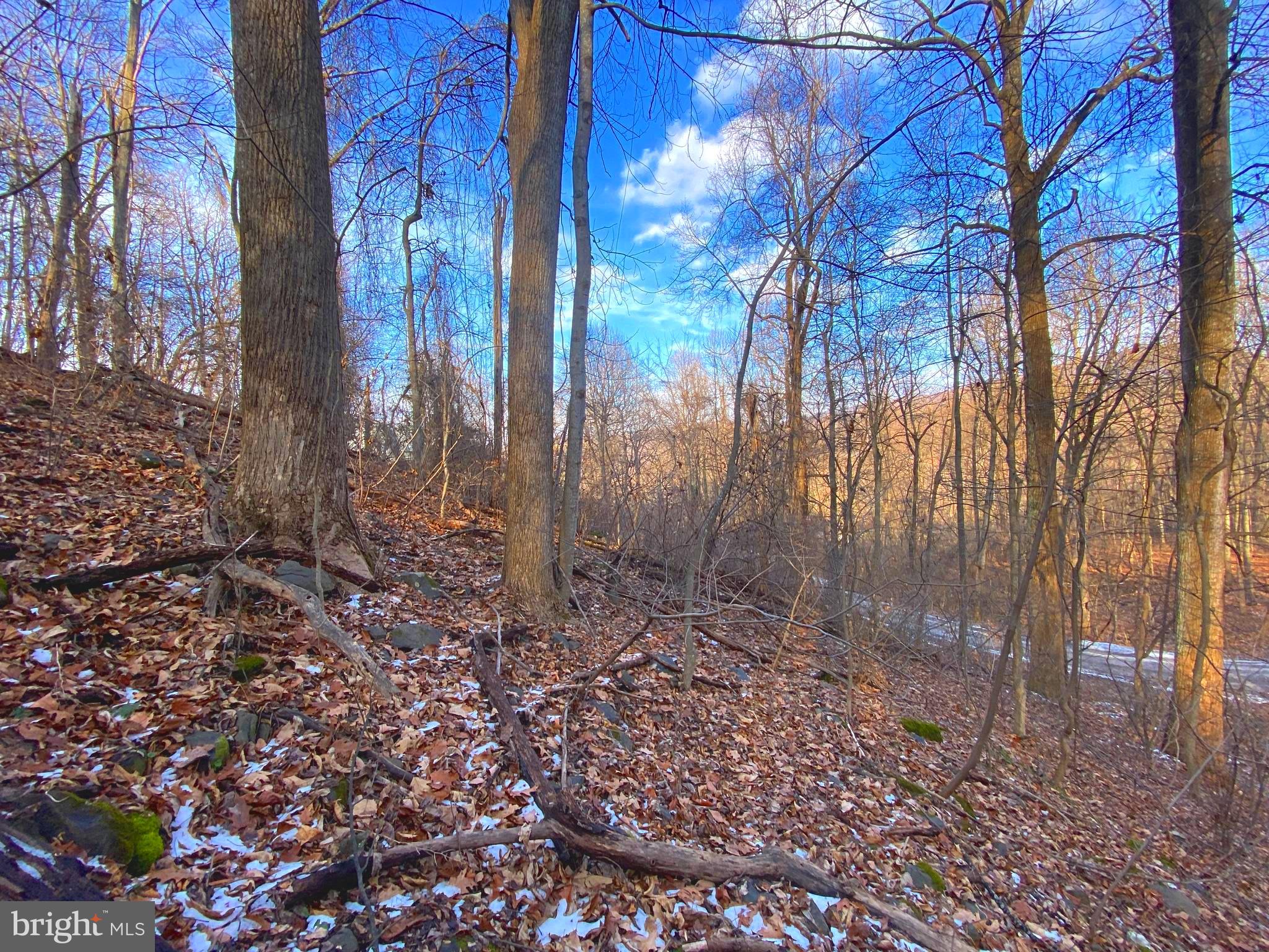 LAKE FRONT ROYAL - Land