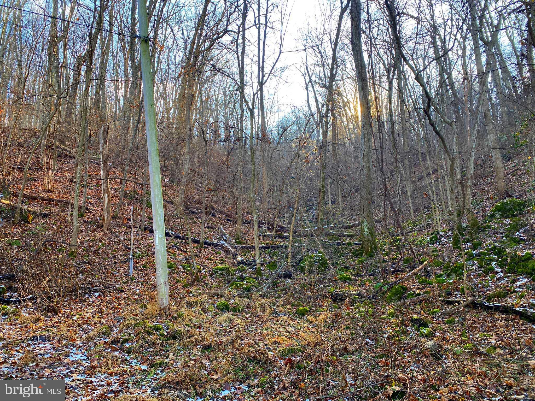 LAKE FRONT ROYAL - Land