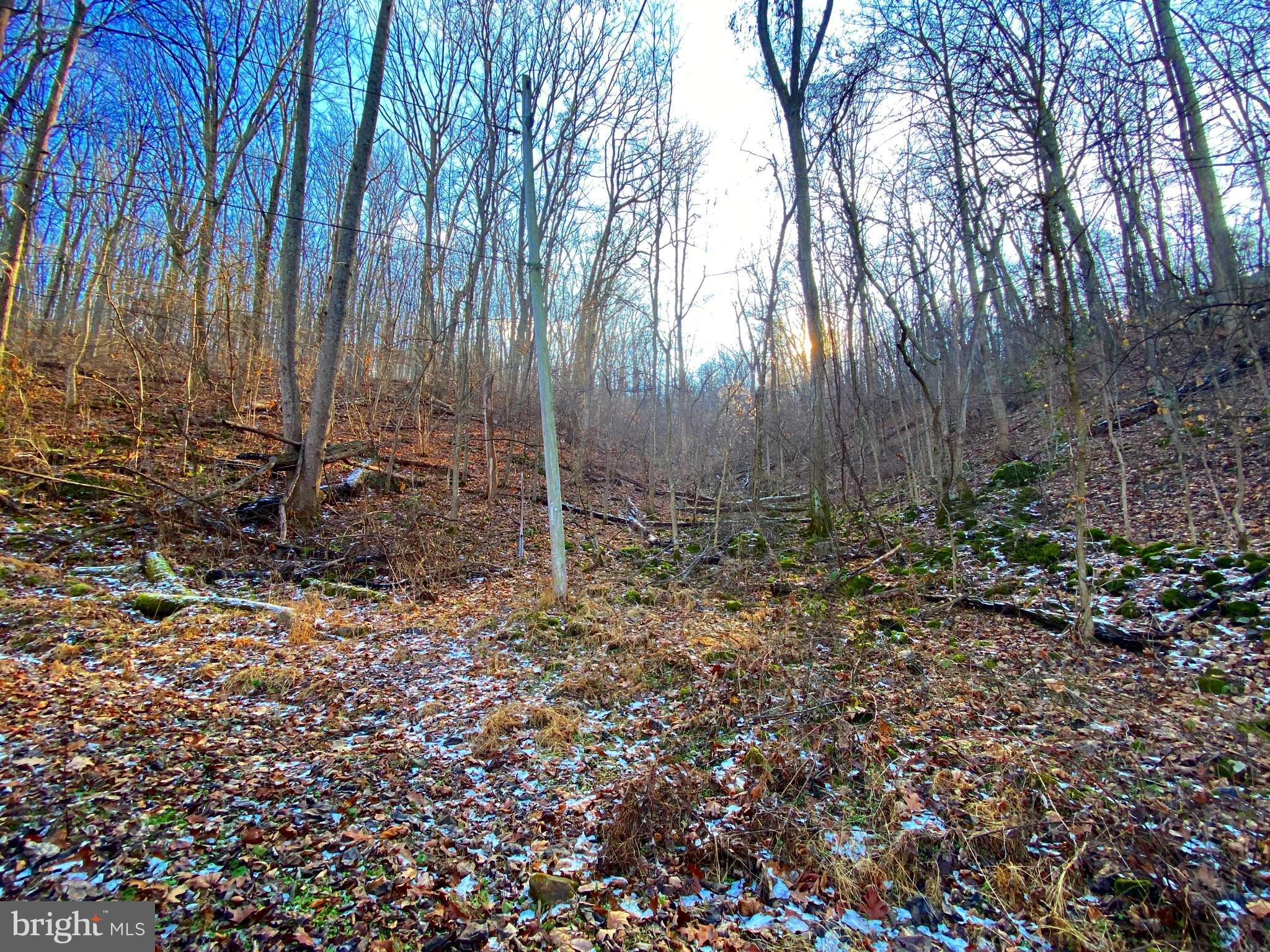 LAKE FRONT ROYAL - Land