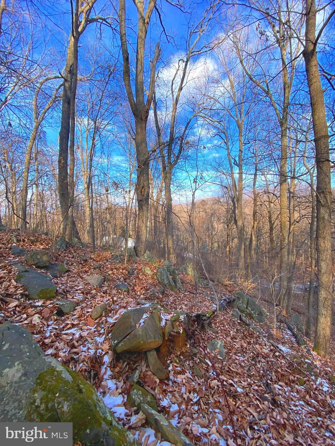 LAKE FRONT ROYAL - Land