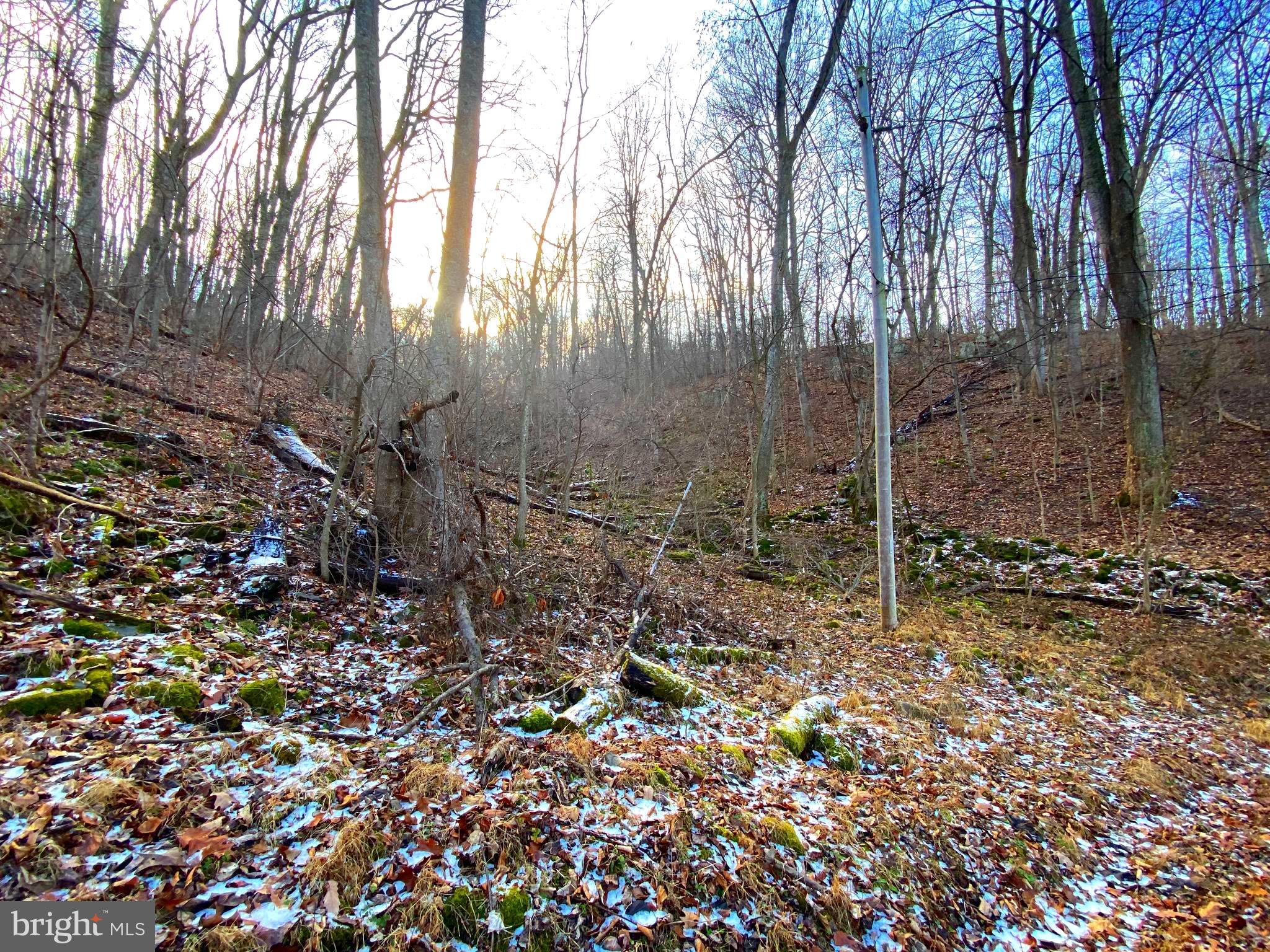 LAKE FRONT ROYAL - Land
