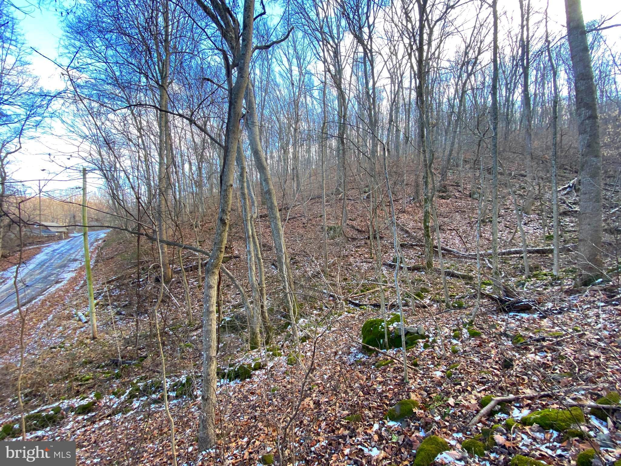 LAKE FRONT ROYAL - Land