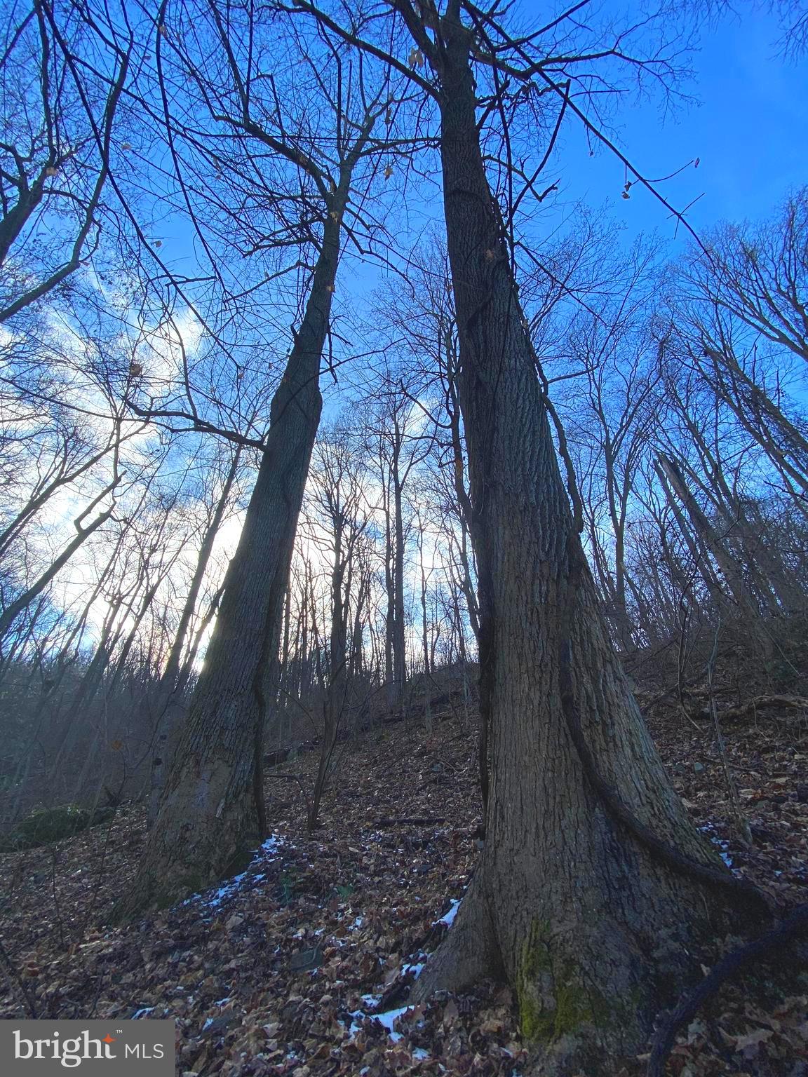 LAKE FRONT ROYAL - Land