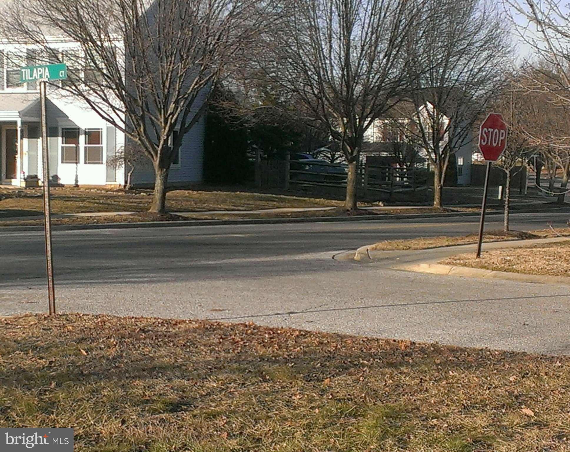 ST CHARLES SUB - DORCHESTER - Residential