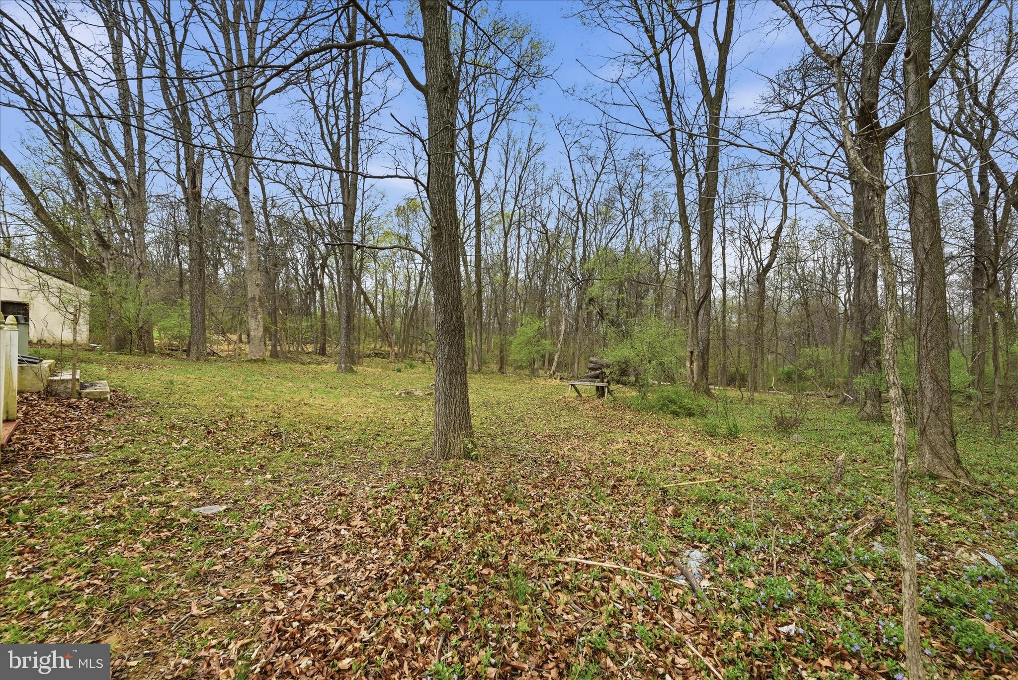 LOVETTSVILLE - Residential