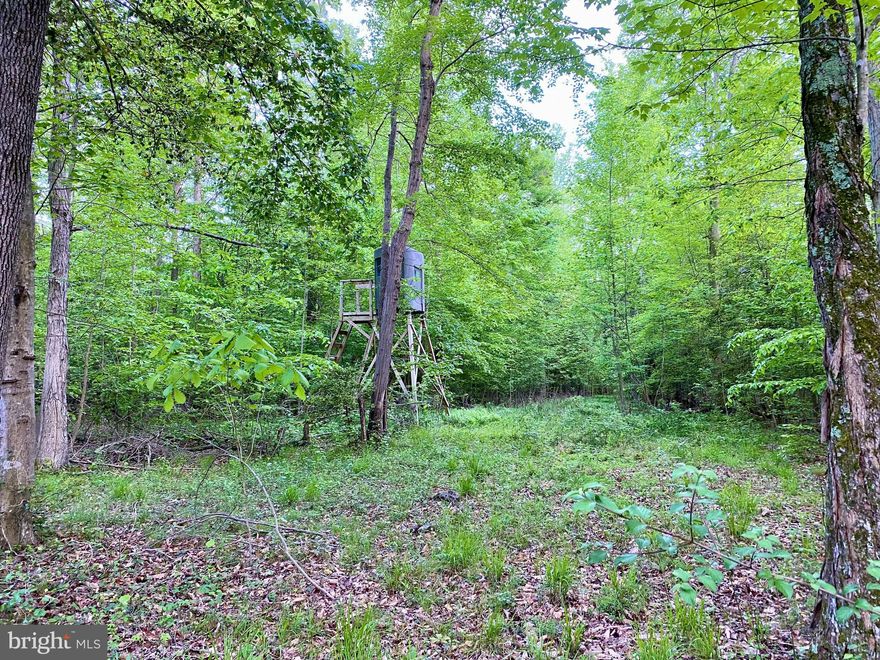 35+ Acres with PERC Approval! Ready to build your Dream Home, Hunters Retreat or Looking for Land... this amount of property does not pop up often! Currently being hunted and is great for deer and turkey. Wooded with some wetlands and backs to a working farm that rotates corn and soy. Abundant wildlife and available to build up to a 3 Bedroom Home with PERC Approval already on file. Reach out with questions!