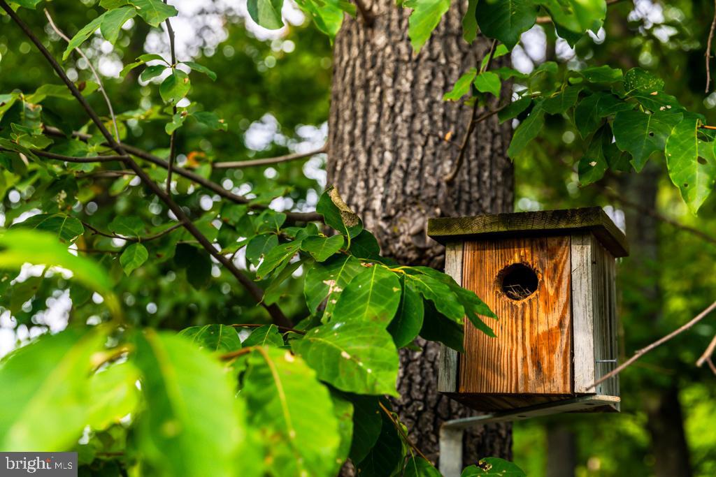 TIMBER RIDGE SD - Residential