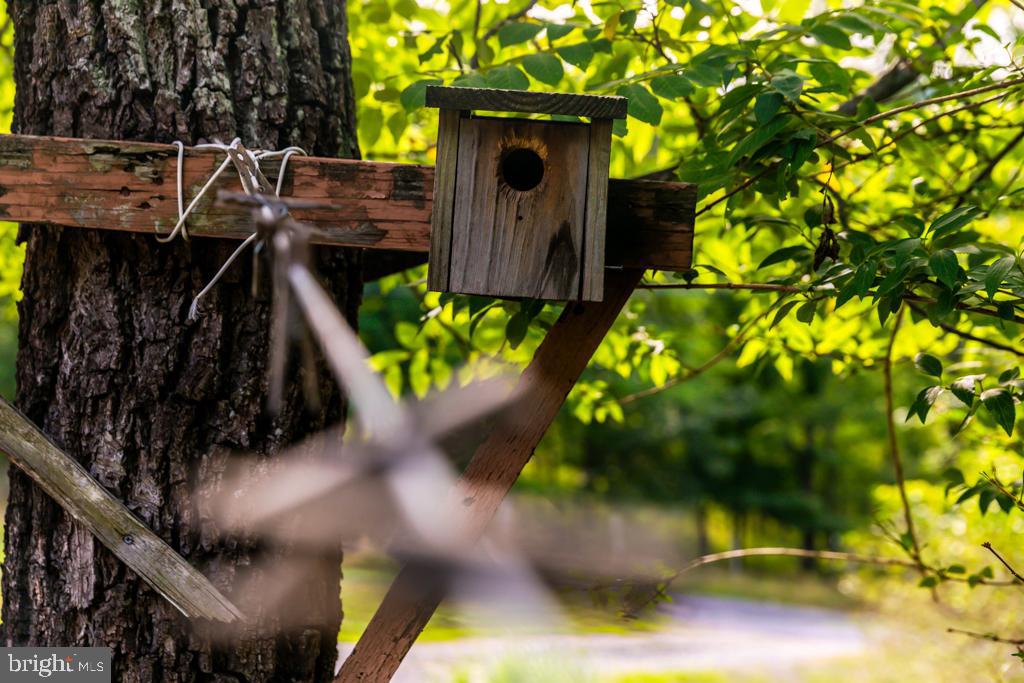 TIMBER RIDGE SD - Residential
