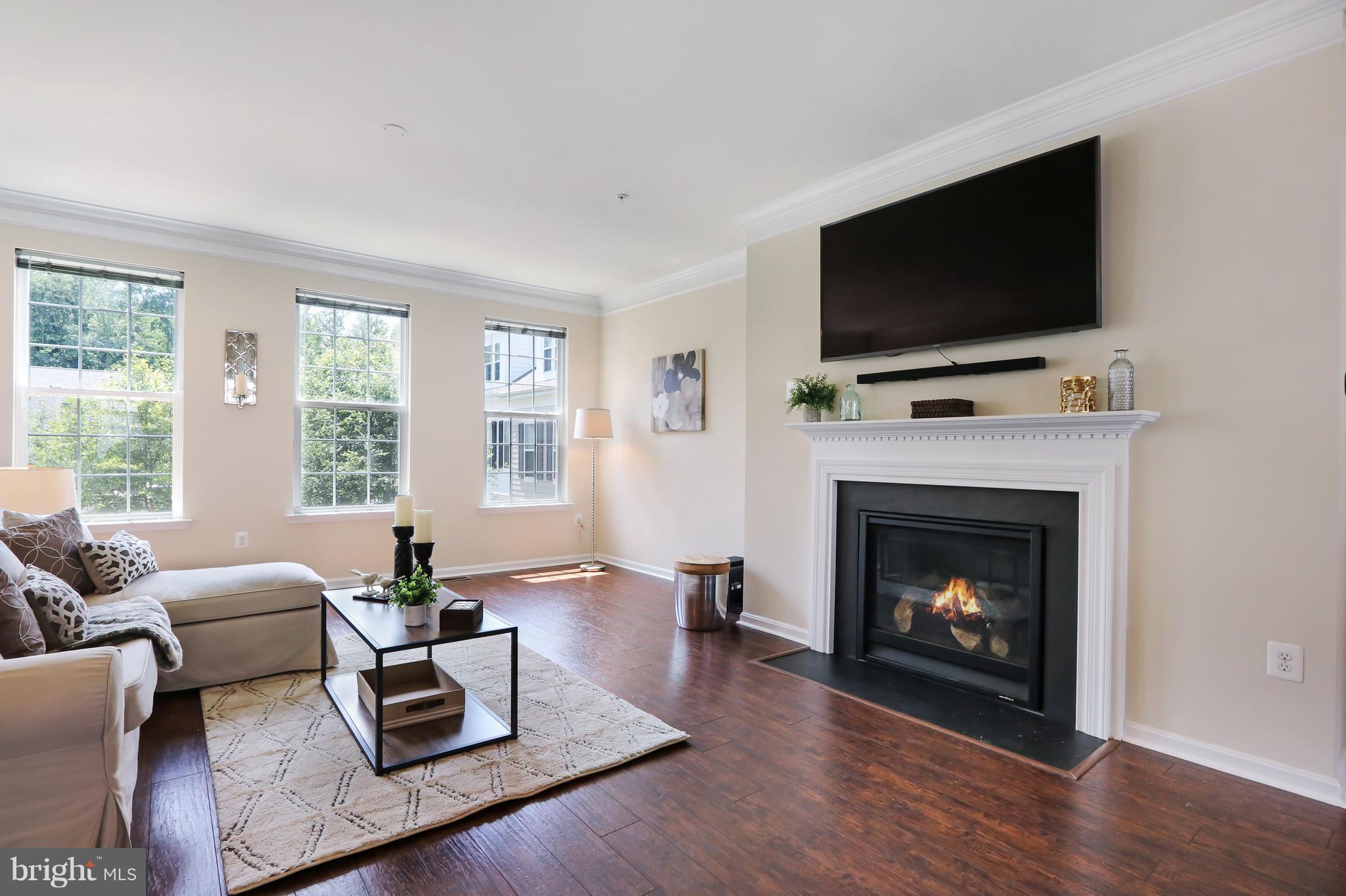 THE VILLAGES OF STEEPLEC - Residential