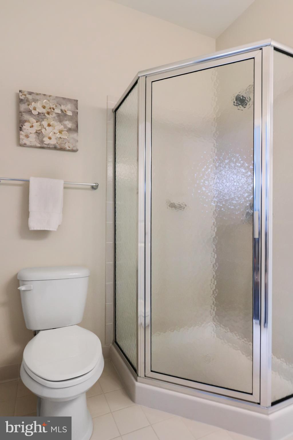 THE VILLAGES OF STEEPLEC - Residential