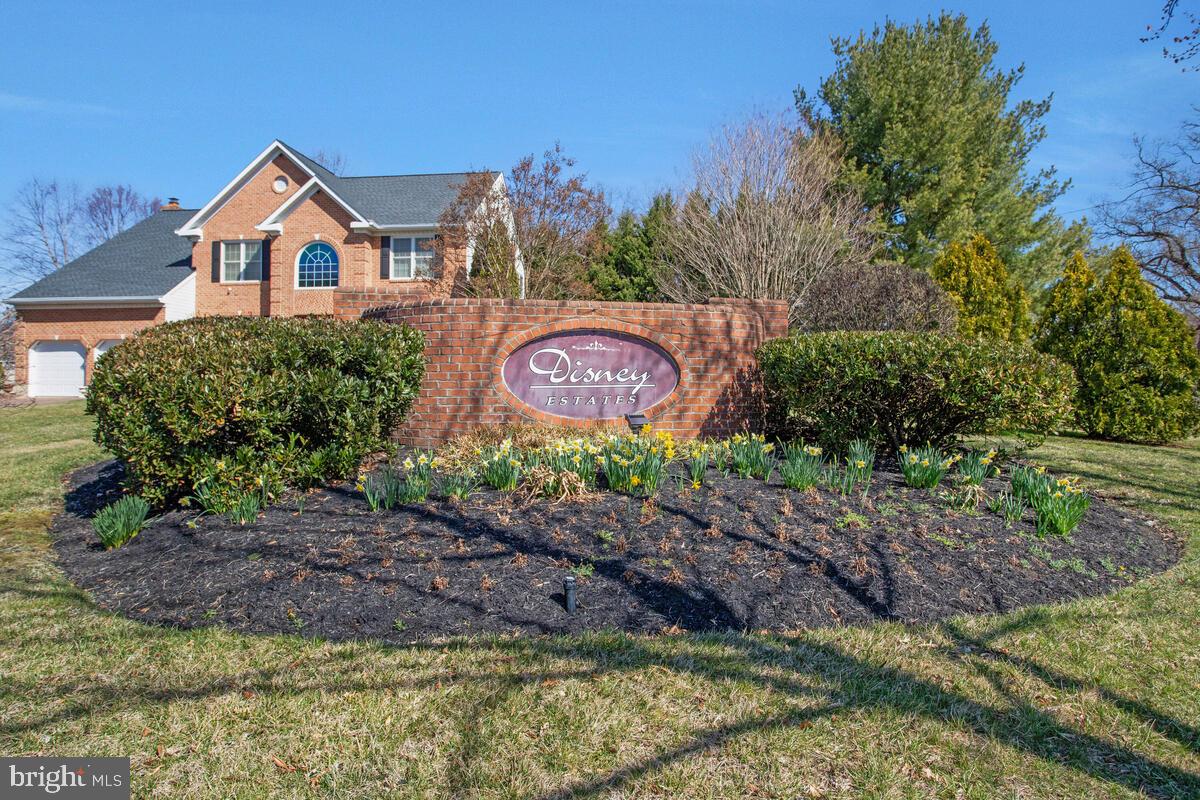 DISNEY ESTATES - Residential