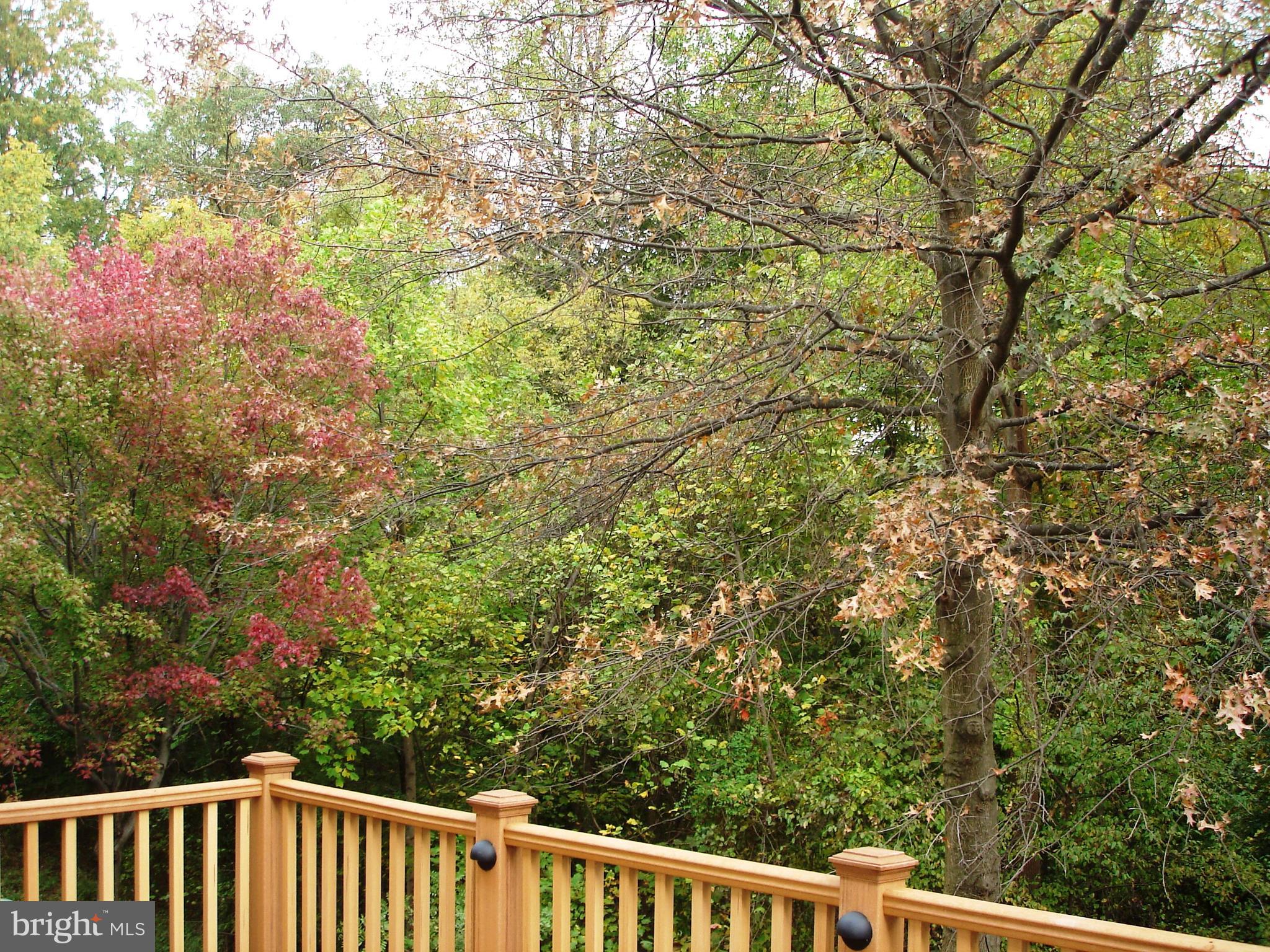 KINGSTOWNE - Residential Lease