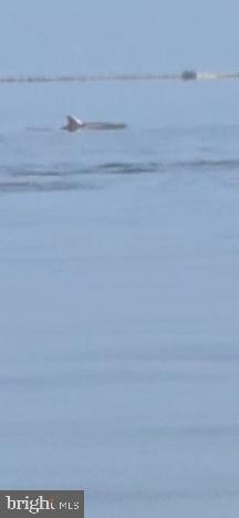 DEEP HARBOR - Residential