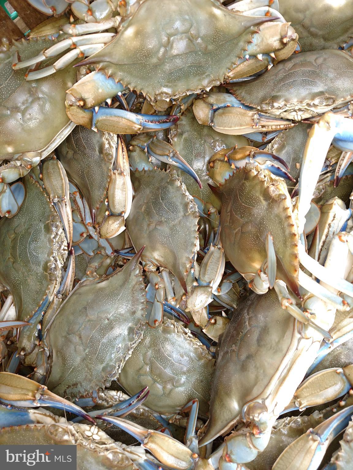 DEEP HARBOR - Residential