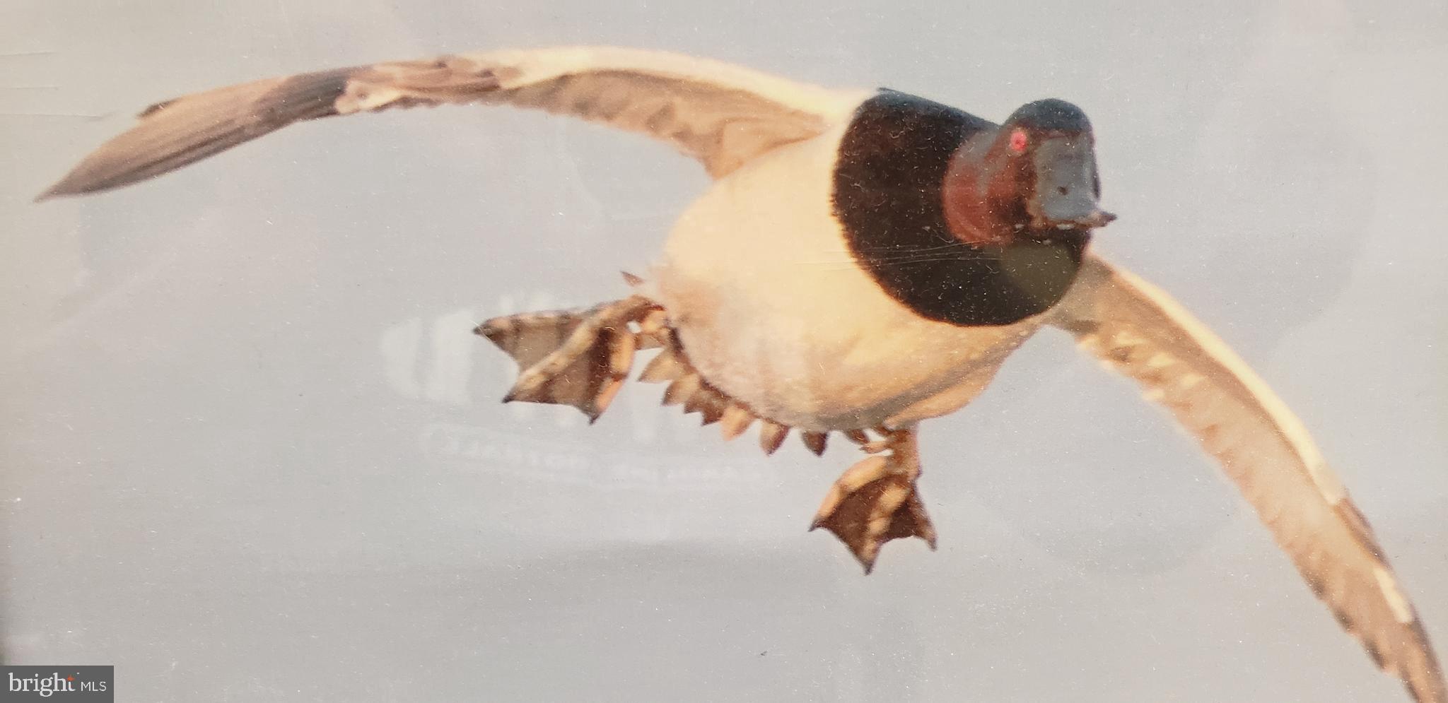 DEEP HARBOR - Residential