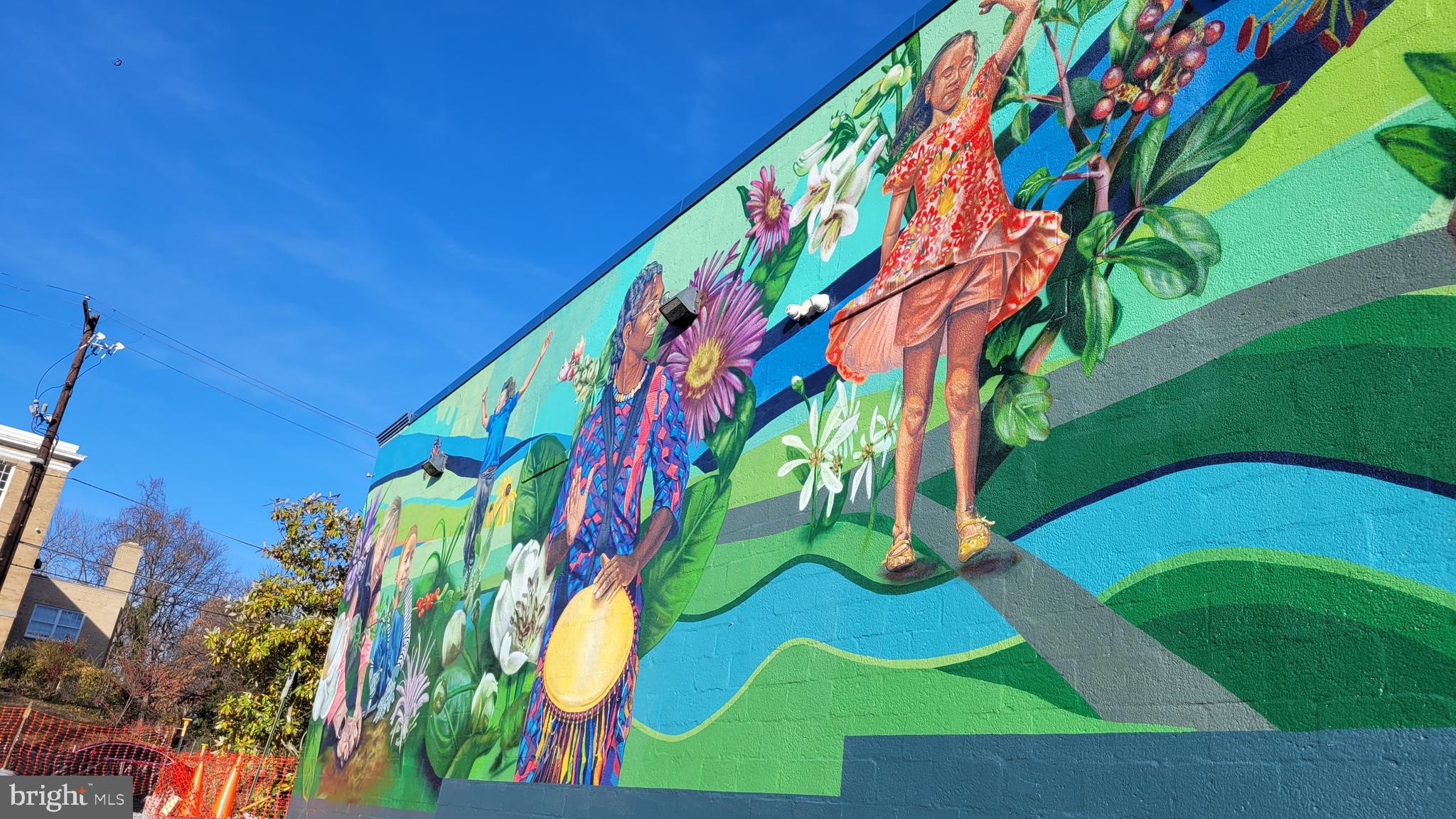 MOUNT RAINIER - Residential