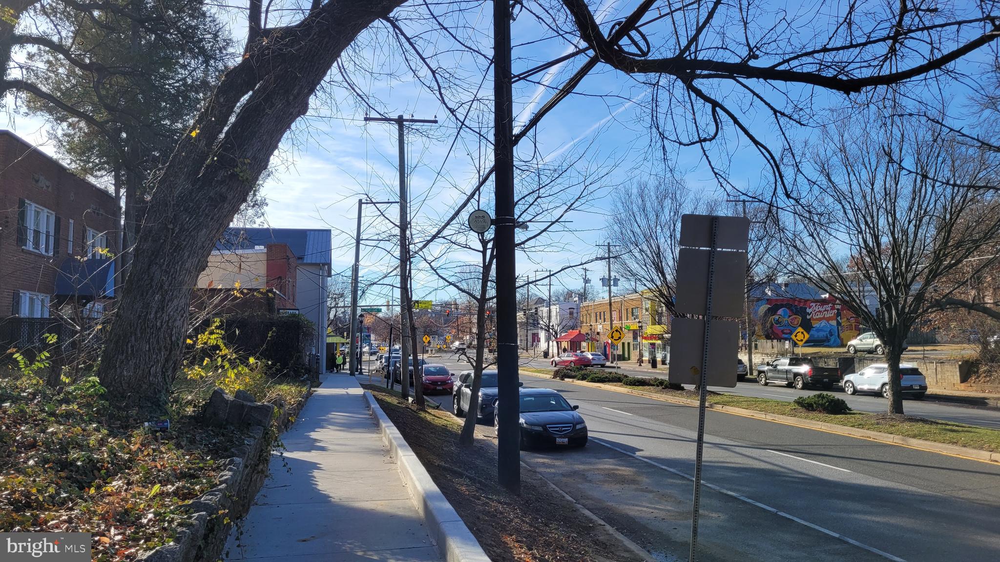 MOUNT RAINIER - Residential