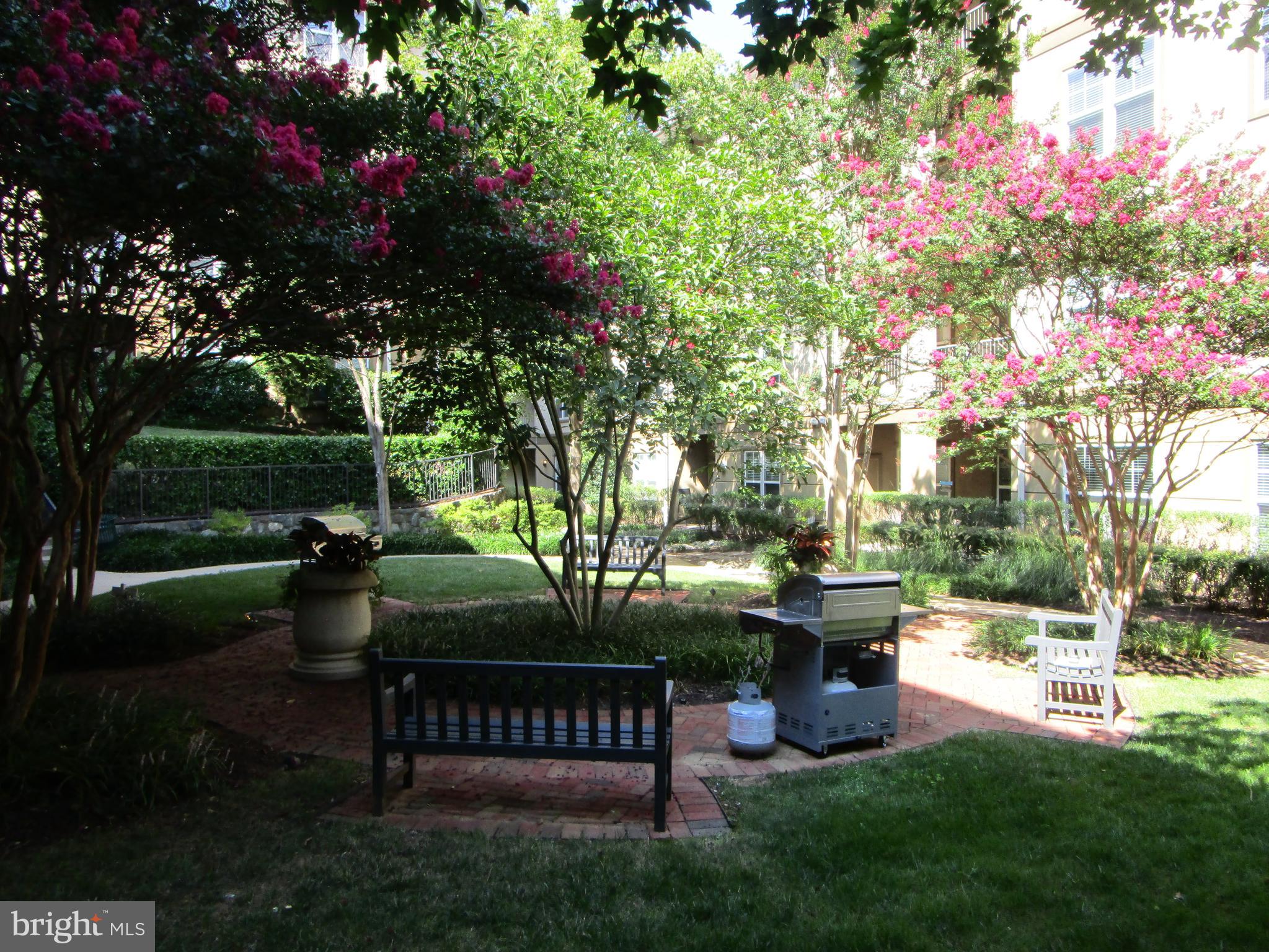 WHITE FLINT STATION - Residential