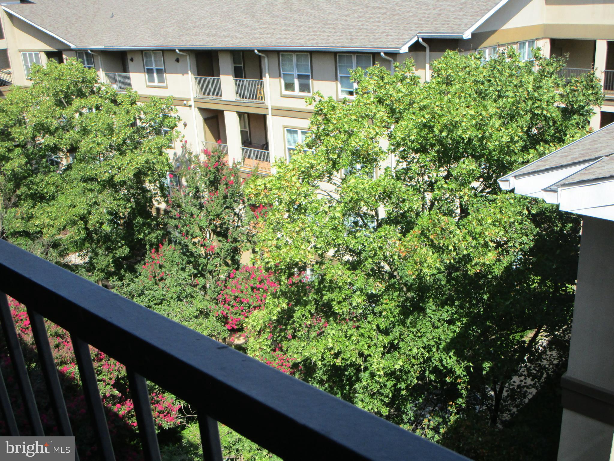 WHITE FLINT STATION - Residential