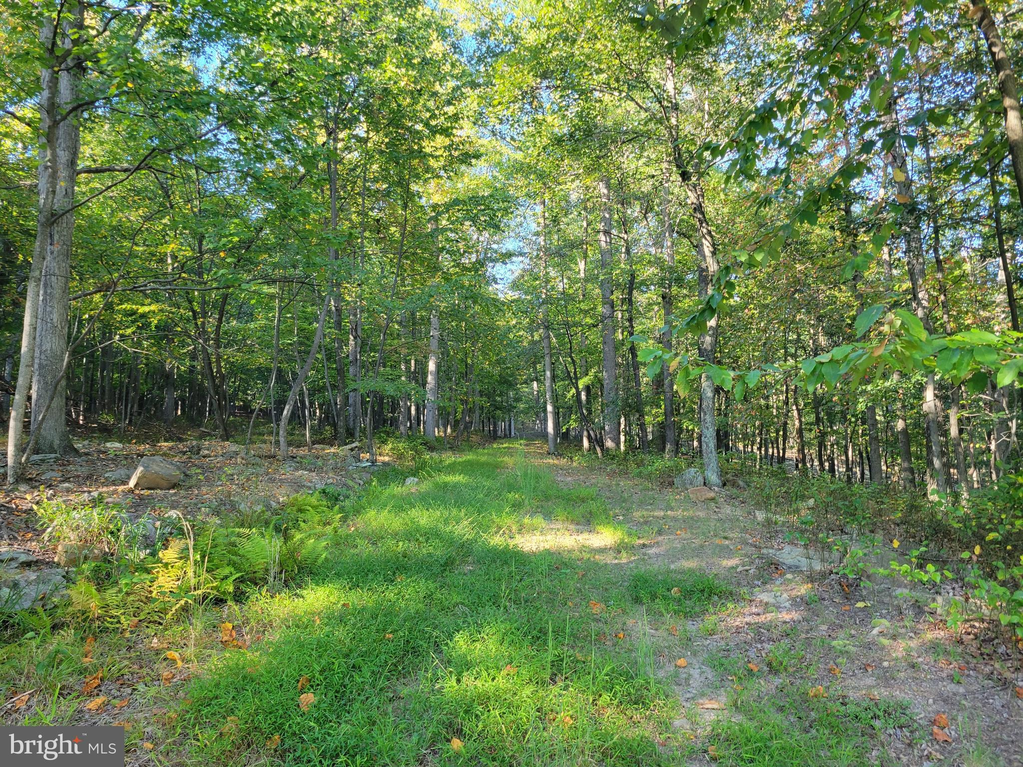 Prime Building Lot in Cacapon East - Lot 52 located on cul-de-sac, lightly wooded building lot, surrounded by nature. Private sewer available for hook-up. HOA covers maintenance of roads. Enjoy Cacapon State Park activities just 3 minutes away. Located about 5 min south of charming Berkeley Springs and 10 min to I-70. This is a choice lot, don't delay.