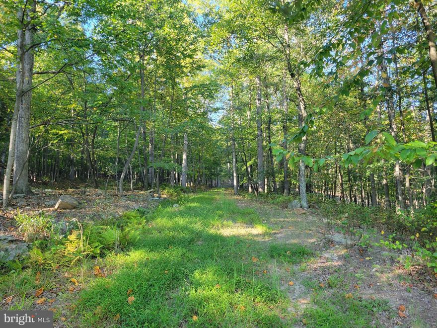 Prime Building Lot in Cacapon East - Lot 52 located on cul-de-sac, lightly wooded building lot, surrounded by nature.    Private sewer available for hook-up.   HOA covers maintenance of roads.   Enjoy Cacapon State Park activities just 3 minutes away.      Located about 5 min south of charming Berkeley Springs and 10 min to I-70.   This is a choice lot, don't delay.