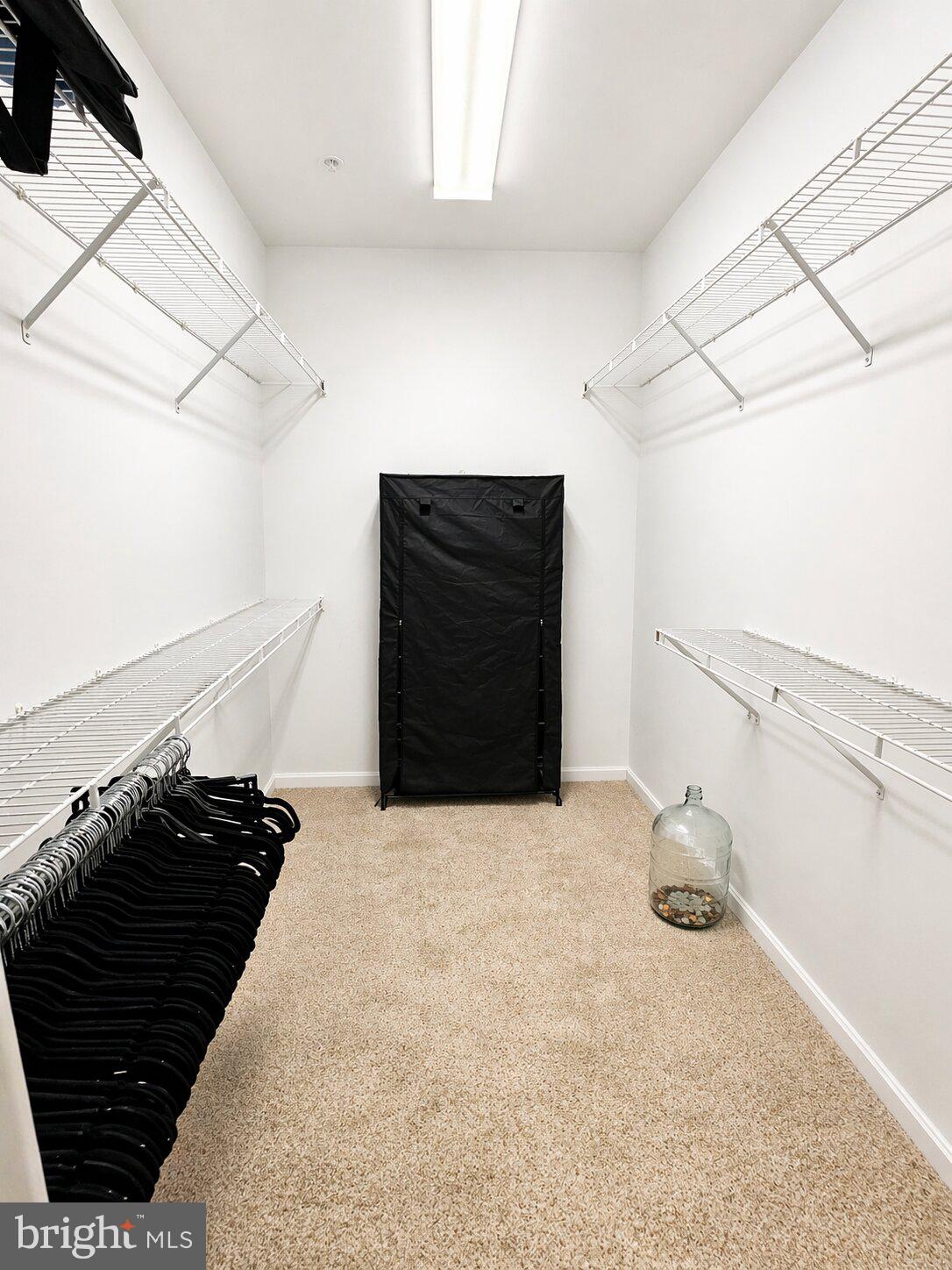 FOREST VIEW - Residential