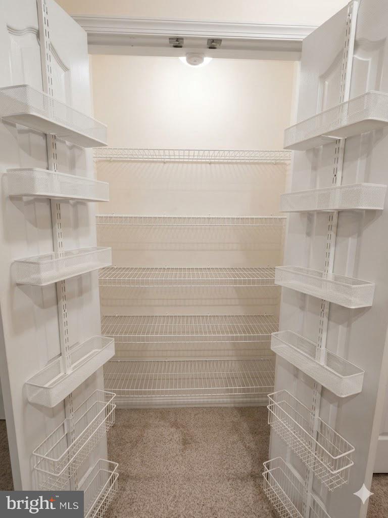 FOREST VIEW - Residential