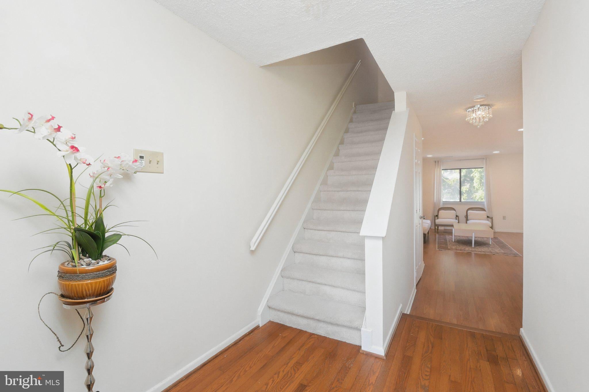 241 HAMPSHIRE DRIVE