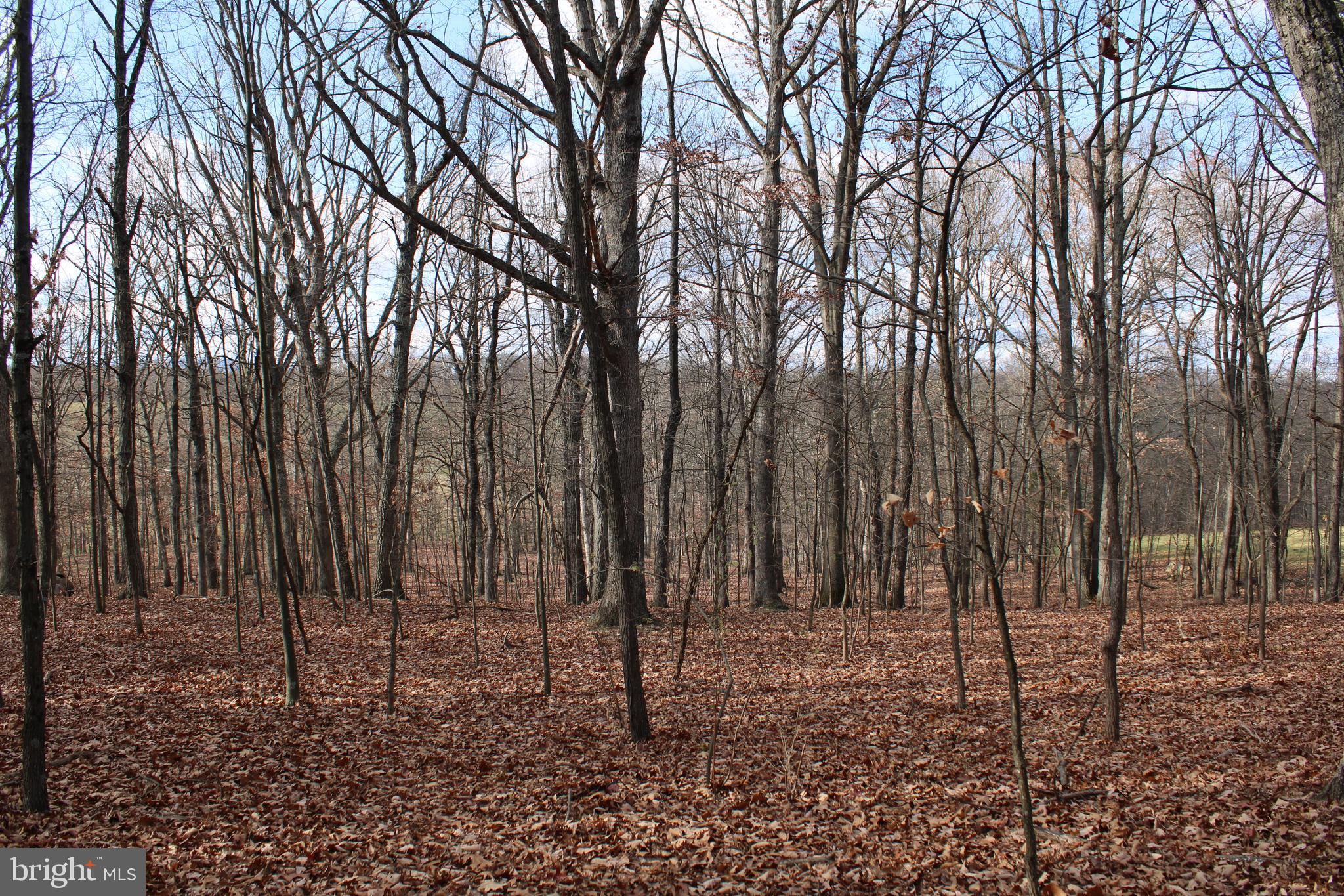 NONE AVAILABLE - Land