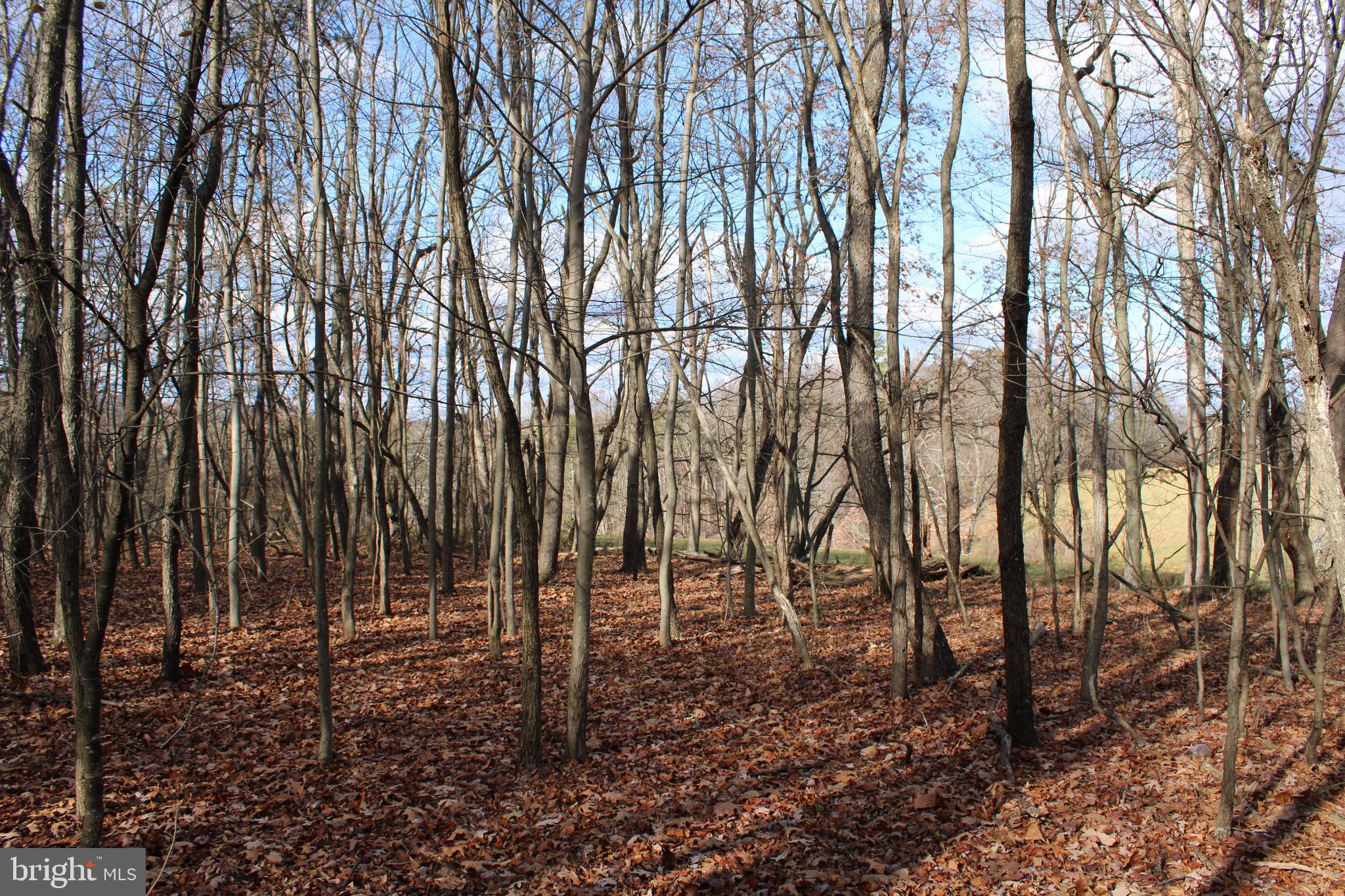 NONE AVAILABLE - Land