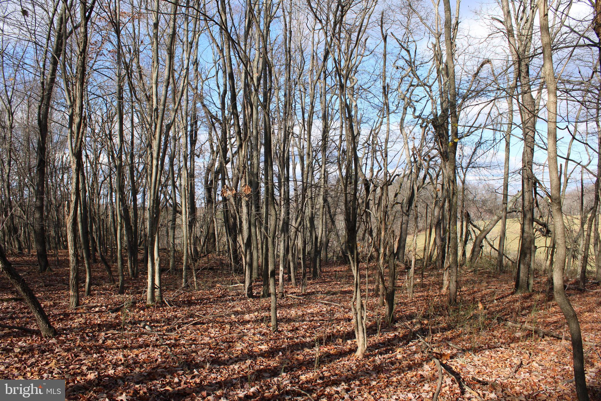 NONE AVAILABLE - Land