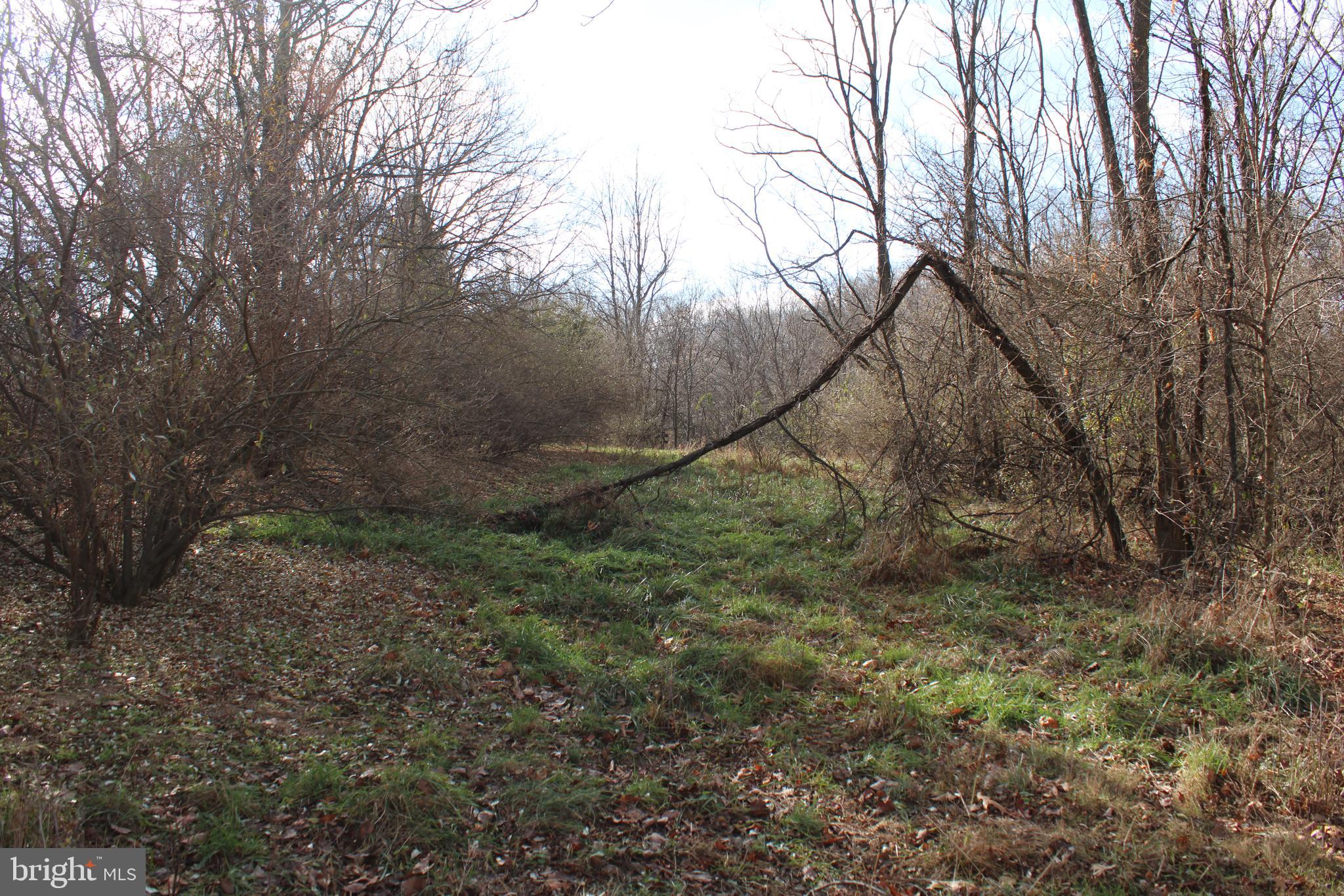 NONE AVAILABLE - Land