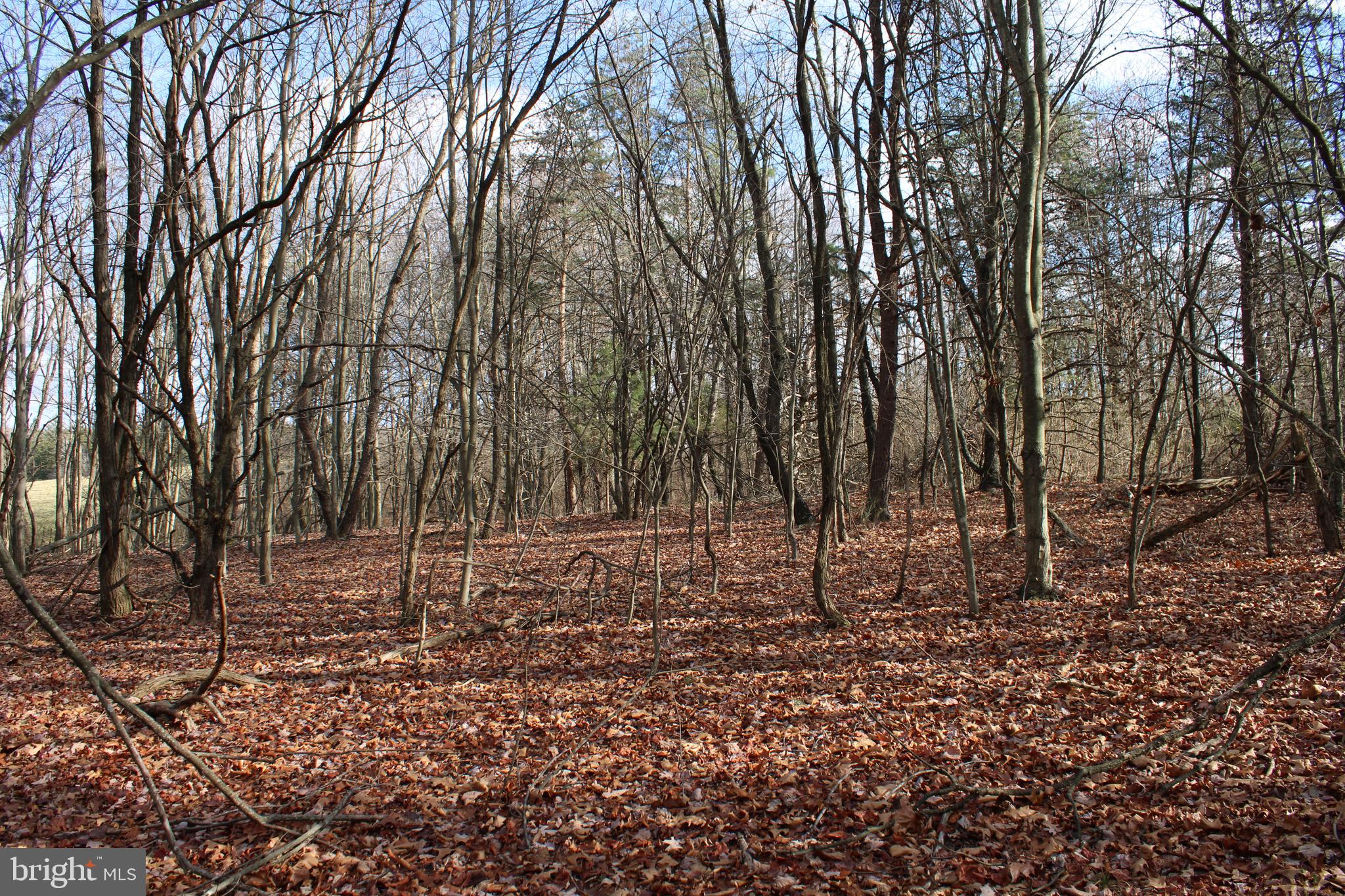 NONE AVAILABLE - Land