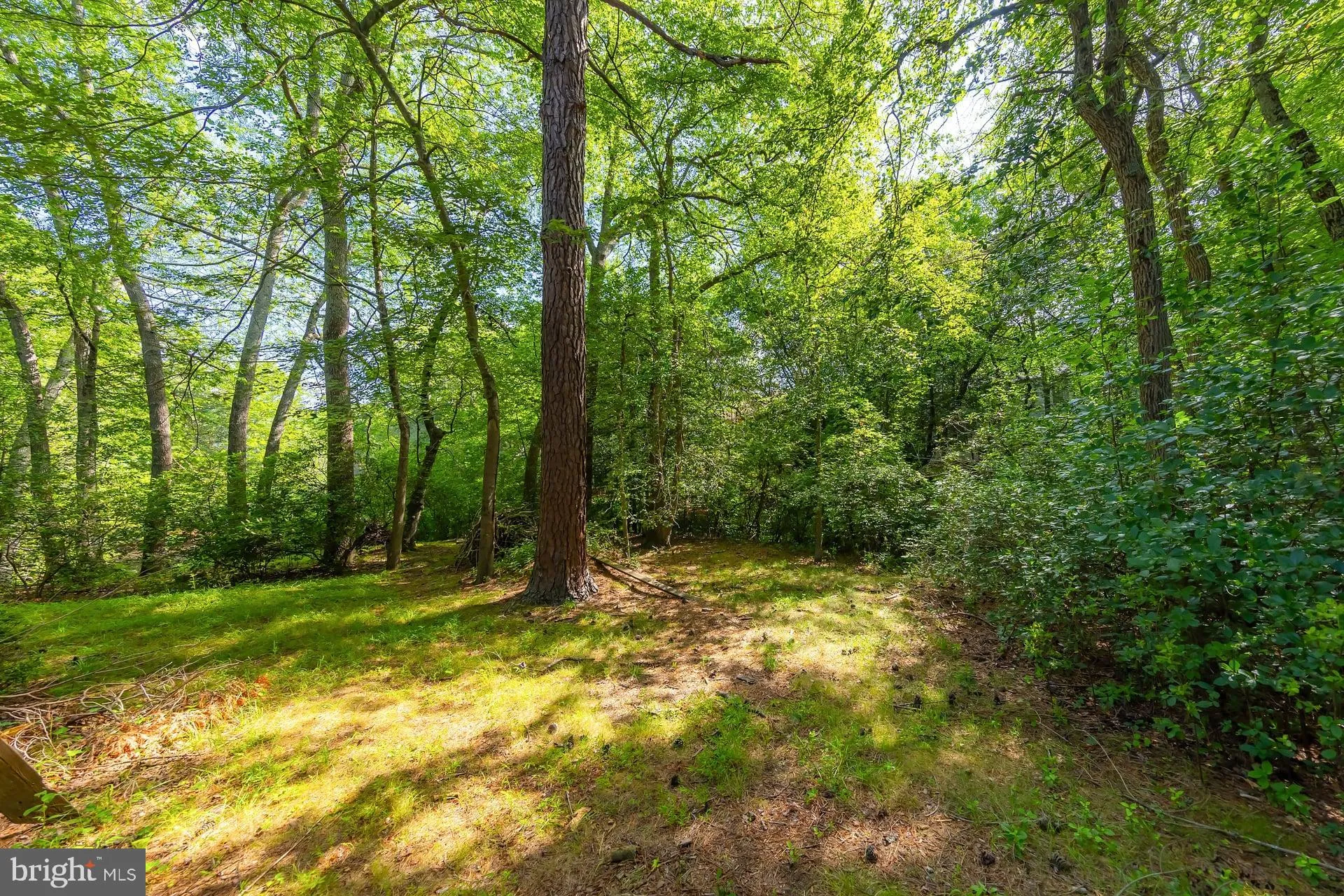 Voorhees, New Jersey 08043, United States, 3 Bedrooms Bedrooms, ,3 BathroomsBathrooms,Residential,Active,178406