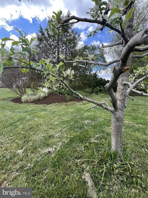 Tiny photo for 213 Tobacco Road, EPHRATA, PA 17522 (MLS # PALA2086980)