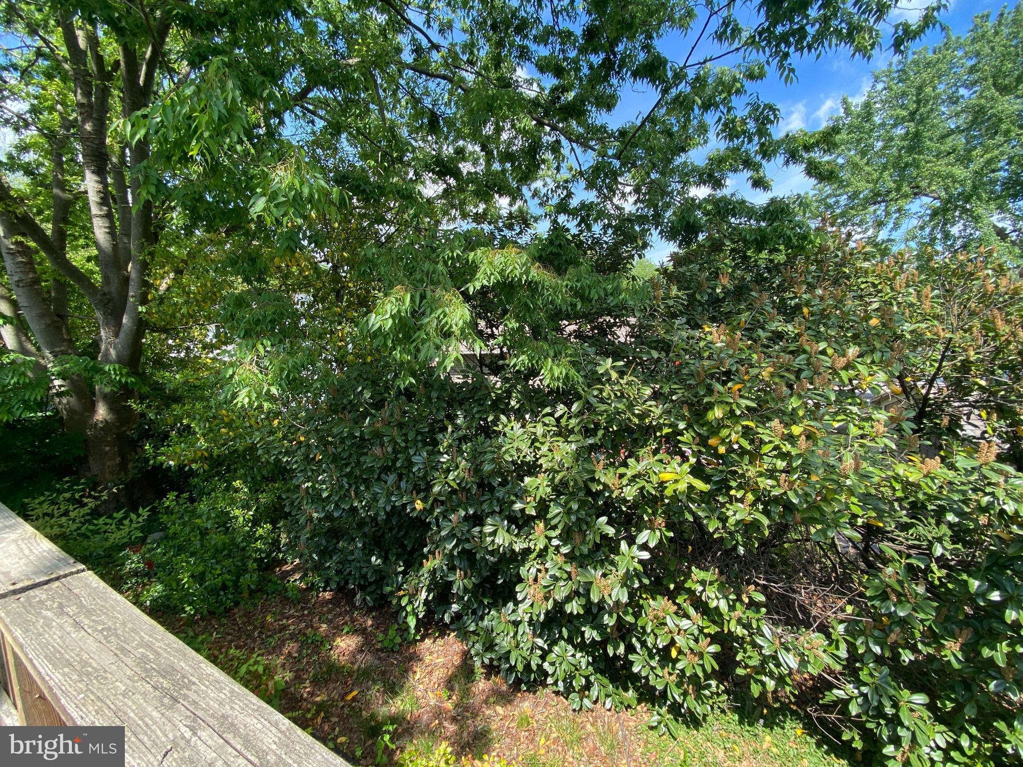 GERARD PLAZA - Residential