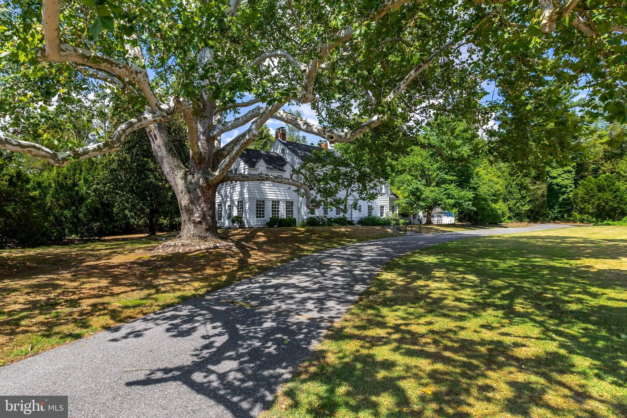 Bridgeton, New Jersey 08302, United States, 4 Bedrooms Bedrooms, ,3 BathroomsBathrooms,Residential,Contingent,53363