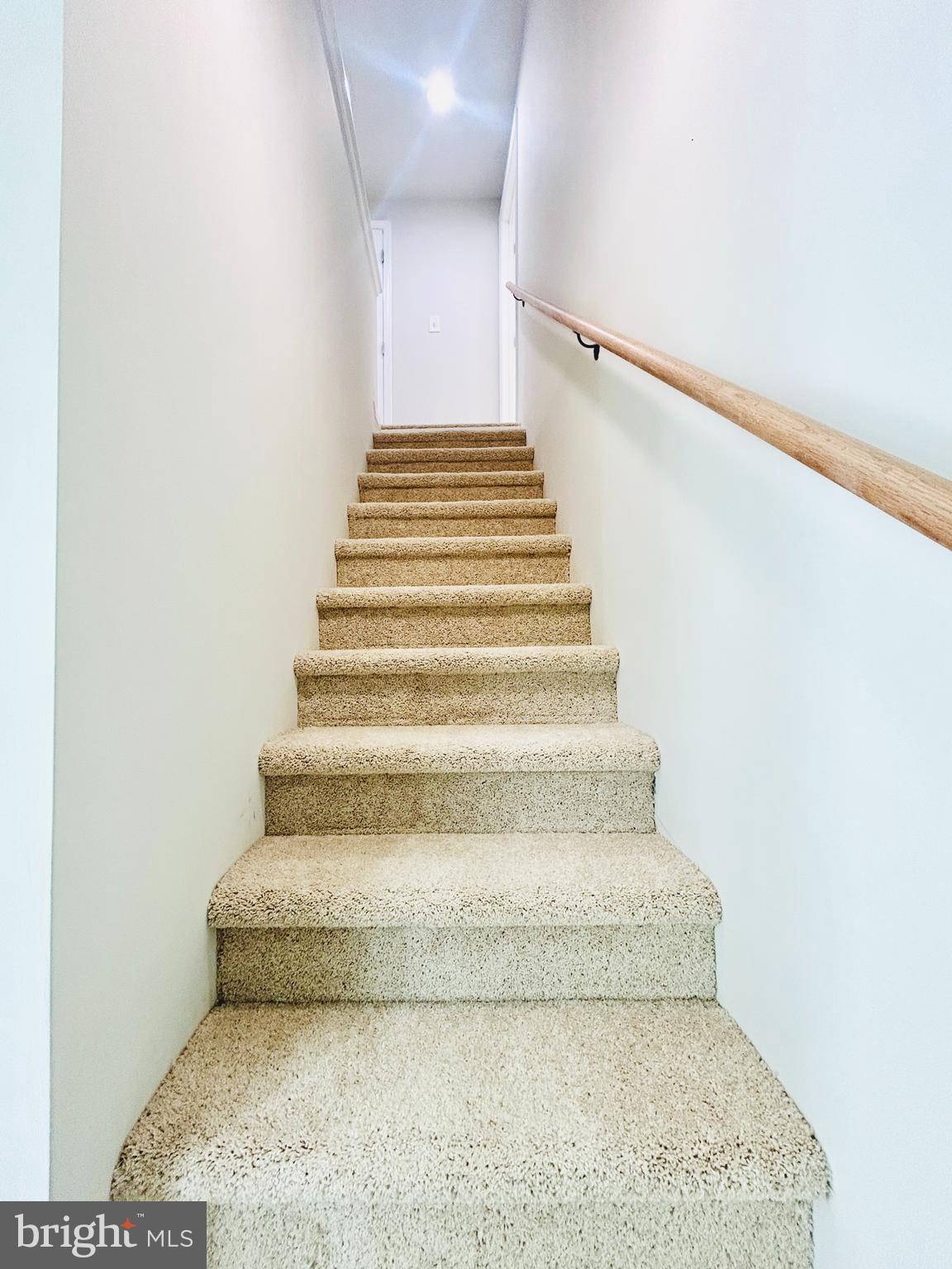 ADELPHI - Residential