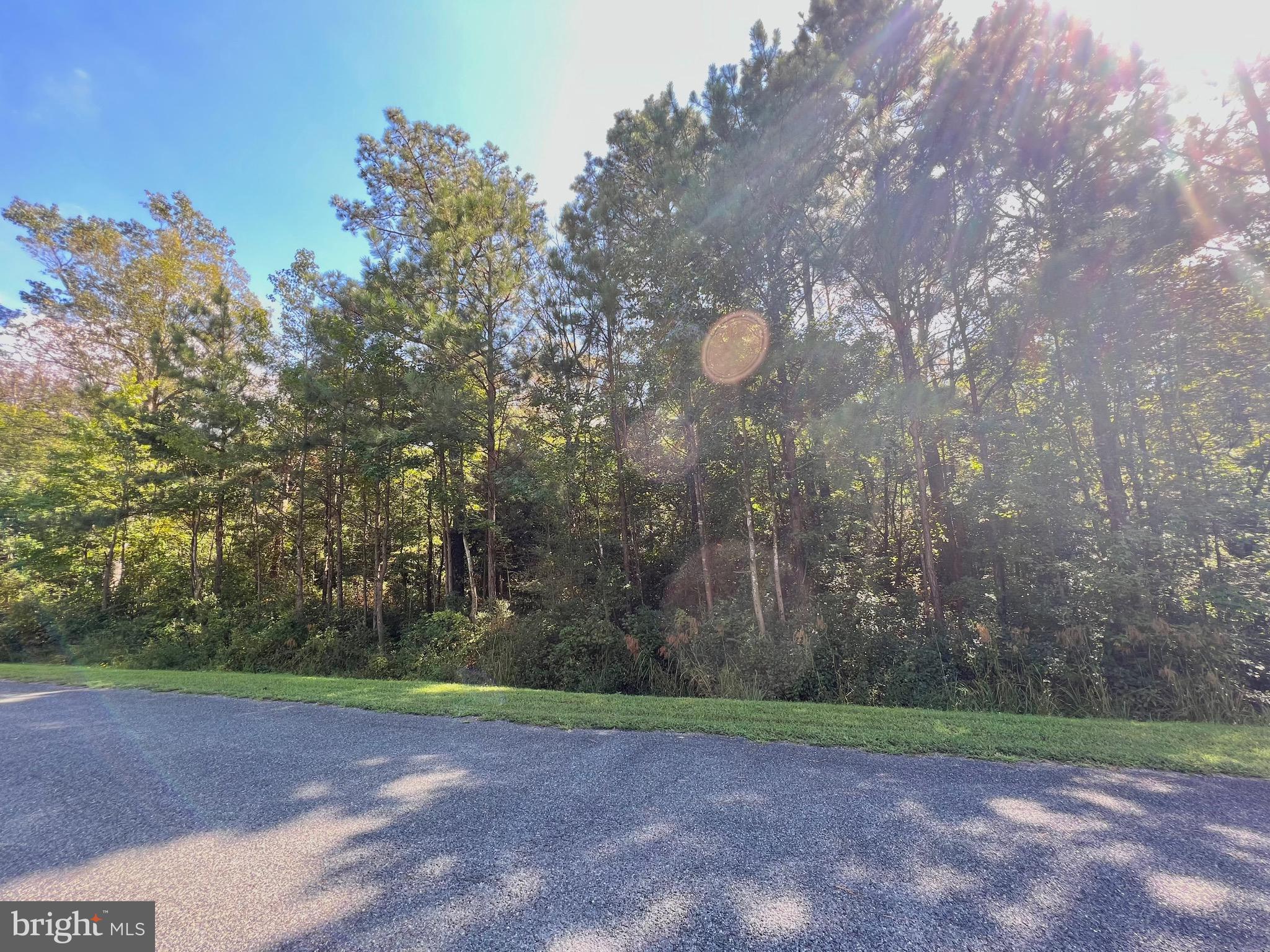 WILDWOOD MANOR - Land